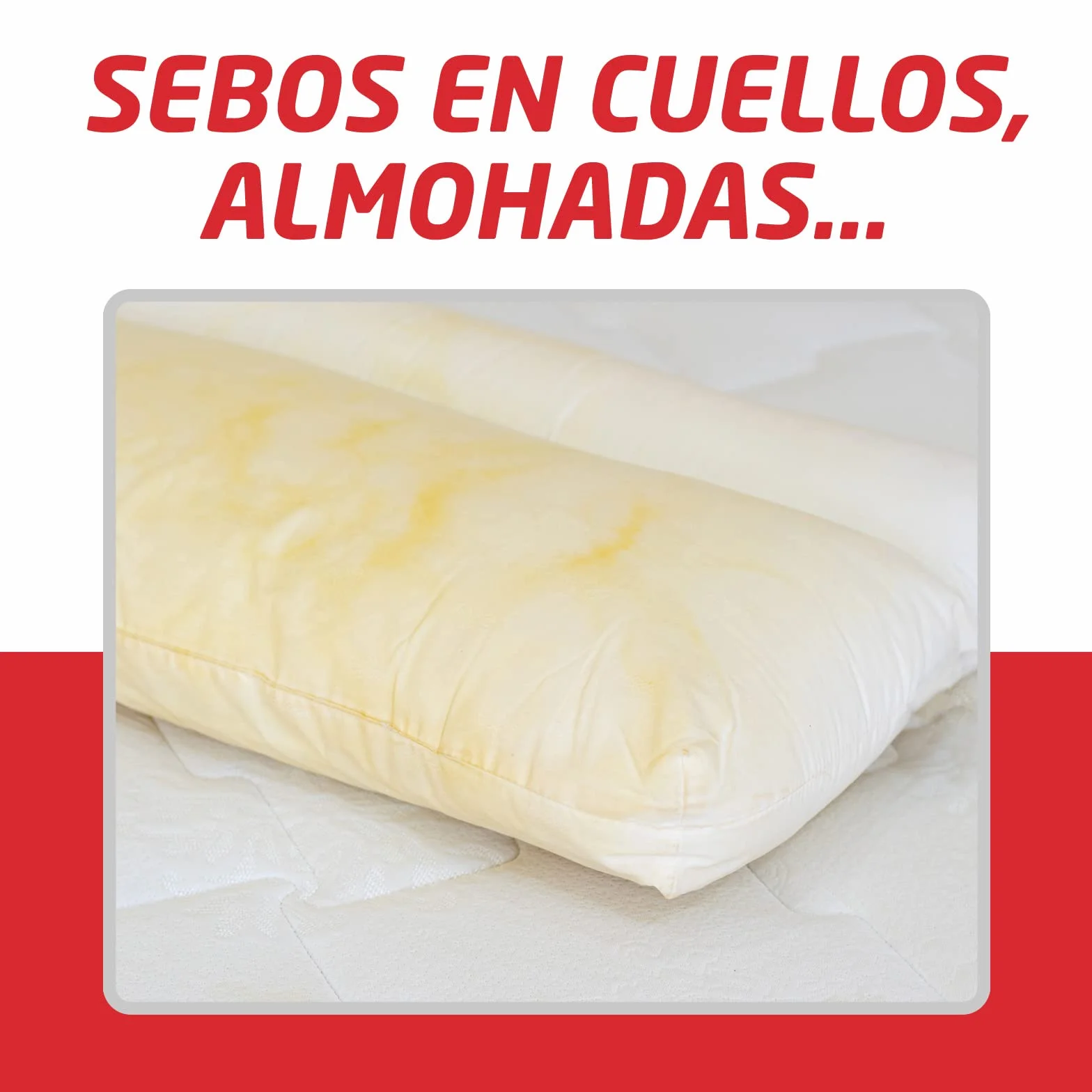 Cebralin Quitamanchas en Spray 200 ml Elimina Manchas de Aceite y Grasas en Textiles