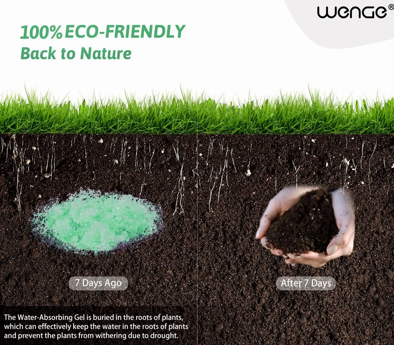Wenge Orina súper absorbente, solidificante, gel de caca de 180 usos para camping, polvo desodorizante y gelificante líquido ecológico para acampar al aire libre, senderismo (aroma de jazmín verde)