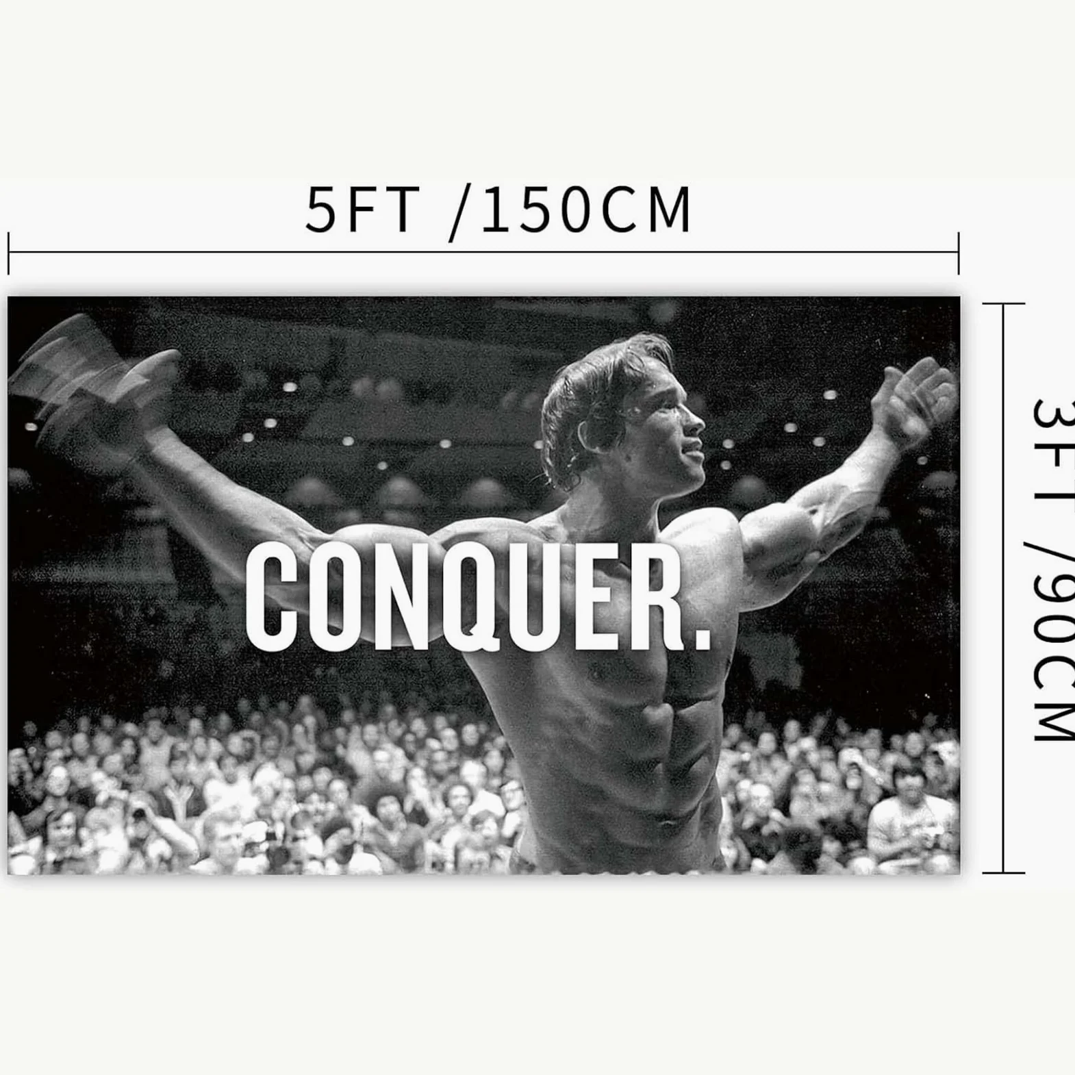 Bandera de Schwarzenegger, Motivación Gimnasio Divertido Póster de Fitness Poliéster 90 g con Ojales con Doble Aguja Cosida, para Dormitorio, Sala de Estar (90 x 150 cm)