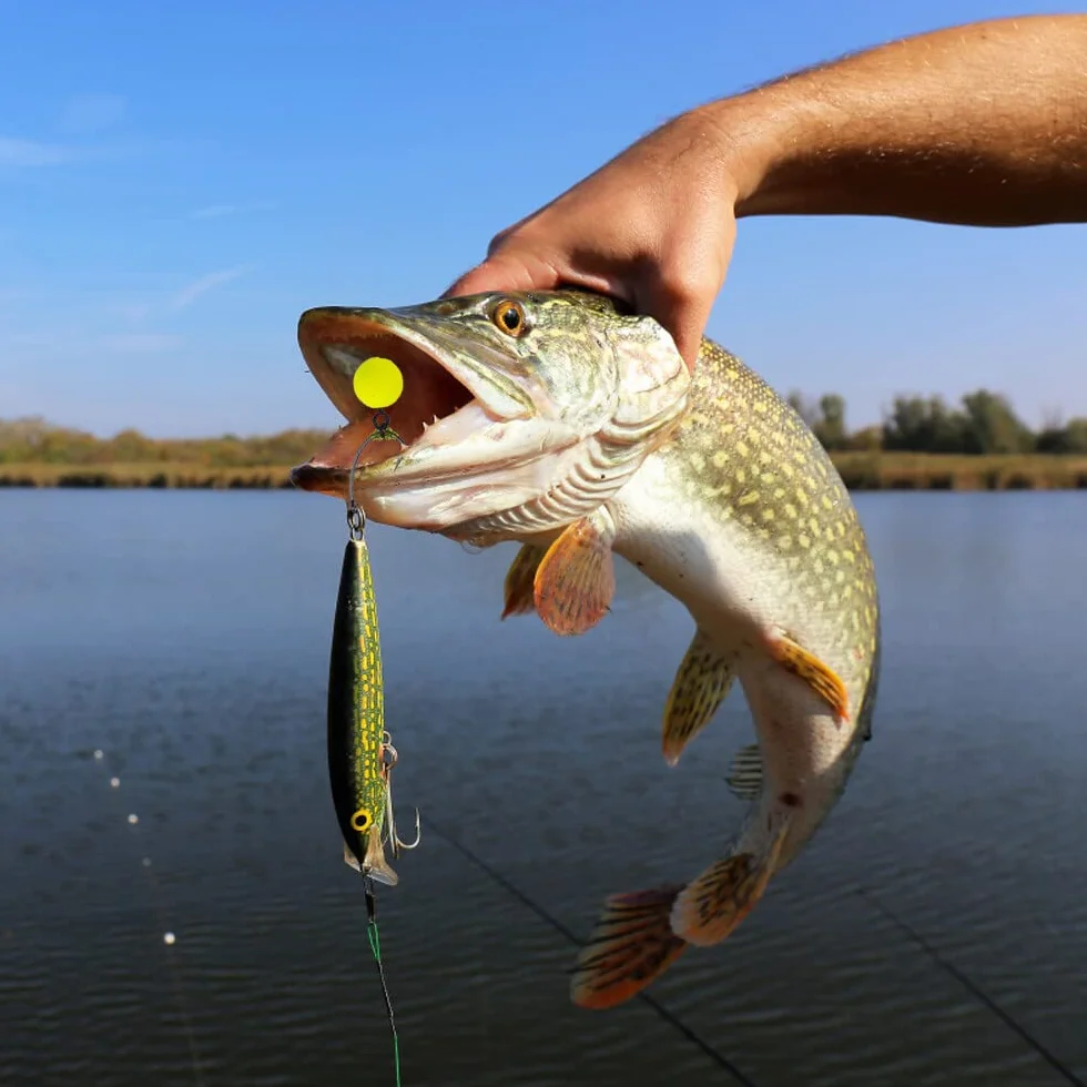Juego de 170 tornillos de pesca para pesca de carpa accesorios, 50 tornillos de pesca, gancho de tornillo de tornillo y 120 piezas topes gancho gancho gancho cebo para pesca de carpas