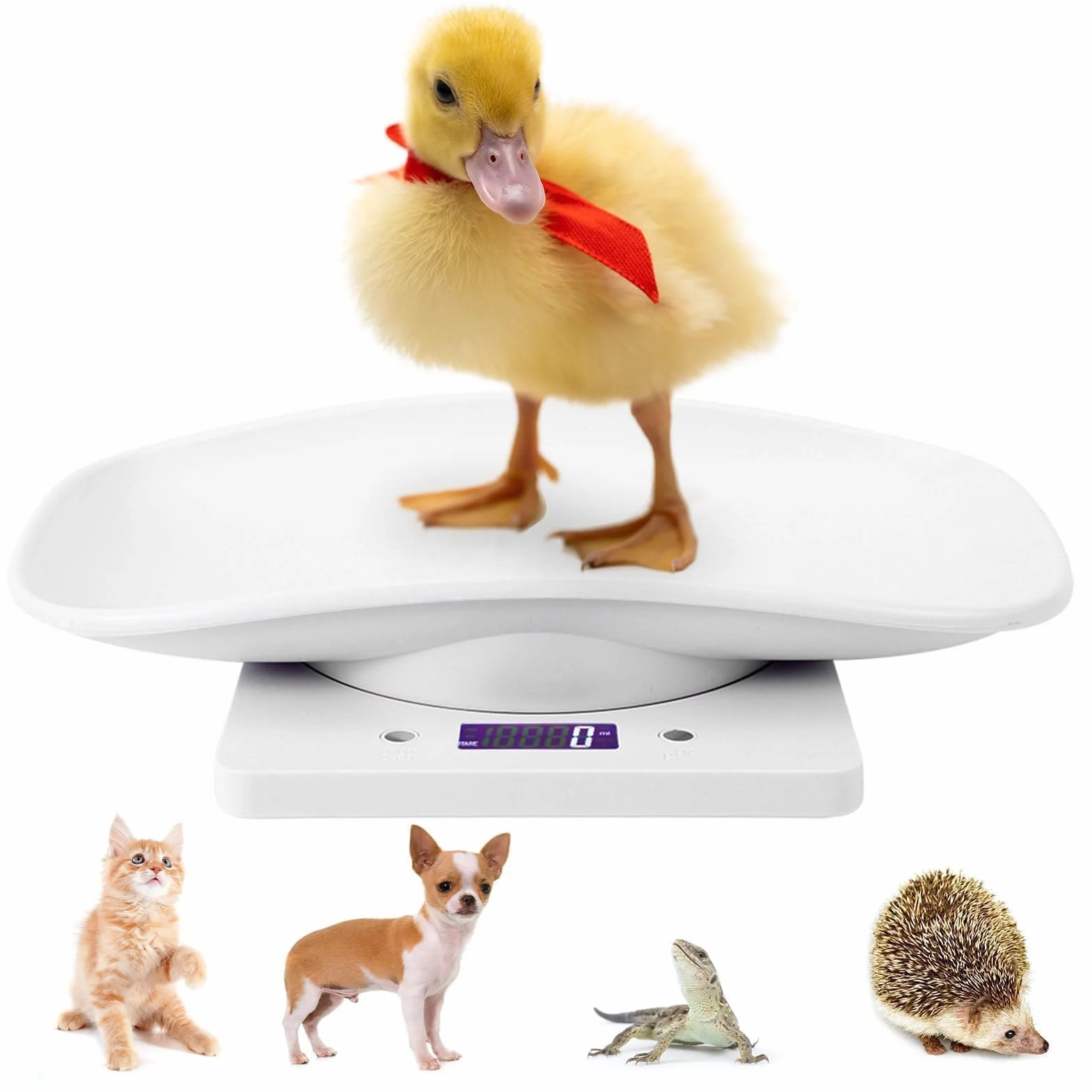 Agatige Báscula de Peso para Mascotas Pequeñas 10kg/1g, Digital LCD Electrónica con Bandeja Extraíble