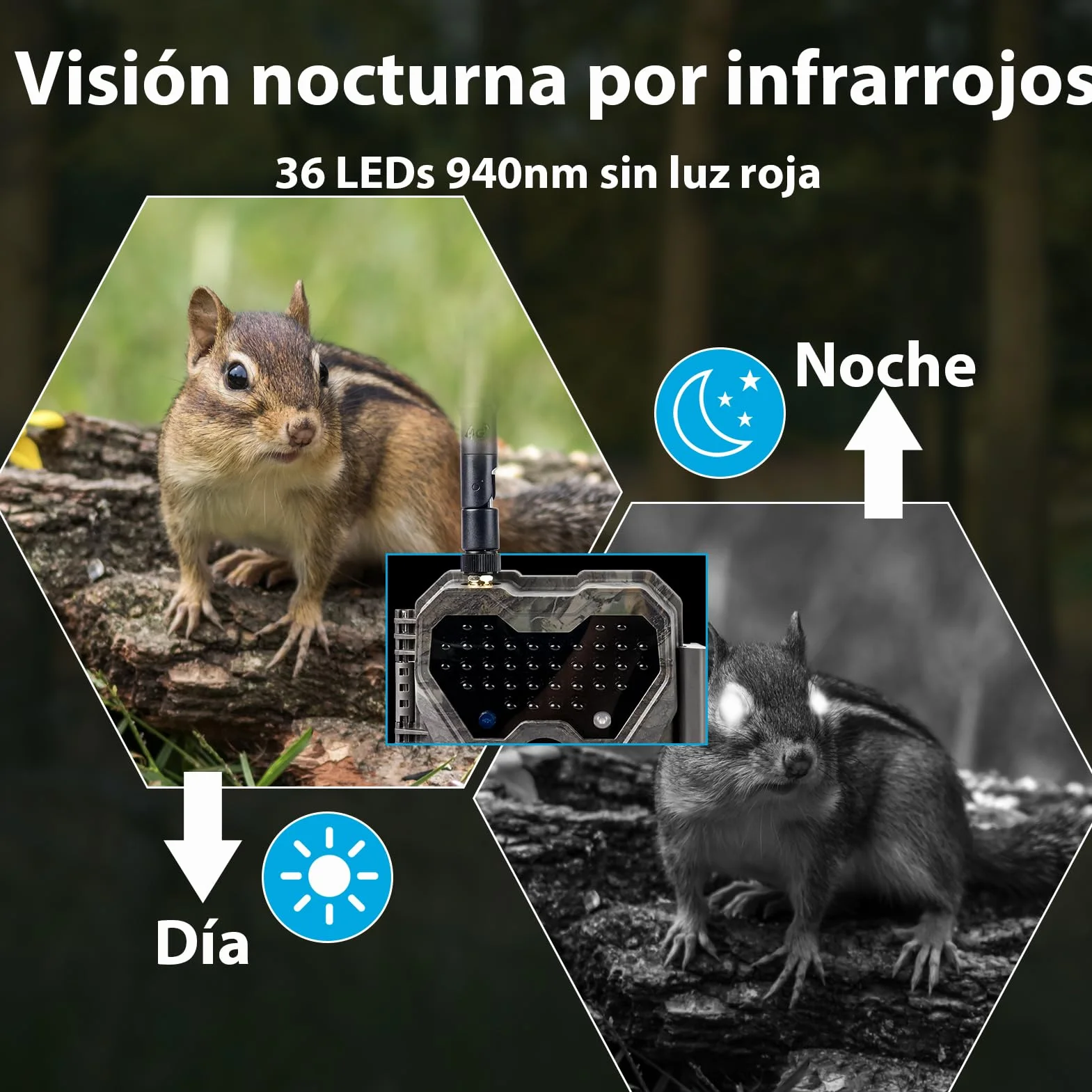 Meidase S970 Pro 4G LTE Cámara de Caza, 48MP 1296P, con Transmisión en Vivo, Visión Nocturna, Activación por Movimiento 0.1s, Transferencia de App, con Batería de 7800mAh y Tarjeta SD 64GB, GPS