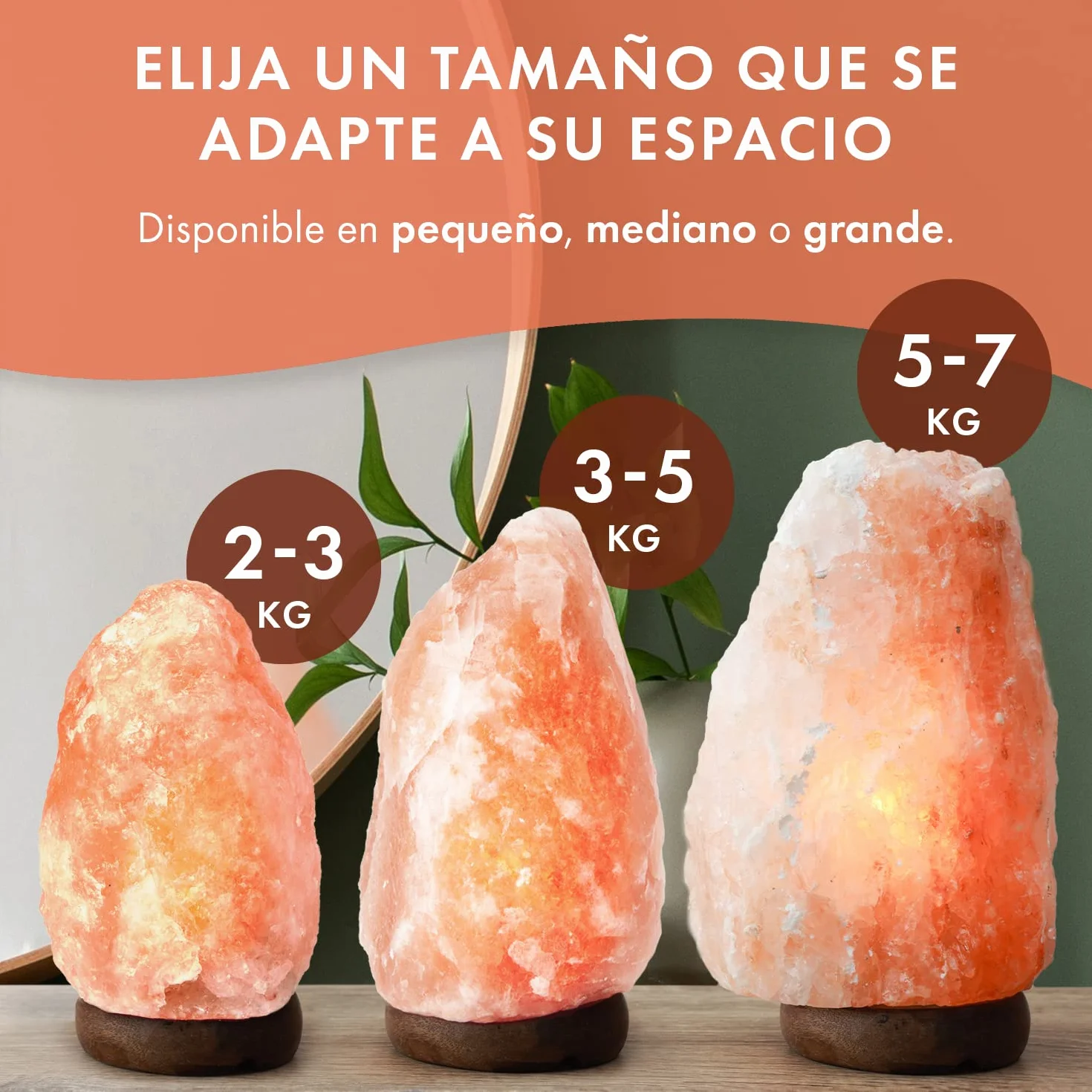 The Body Source Lámpara de Sal del Himalaya 2-3 KG con Regulador de Intensidad Base de Madera