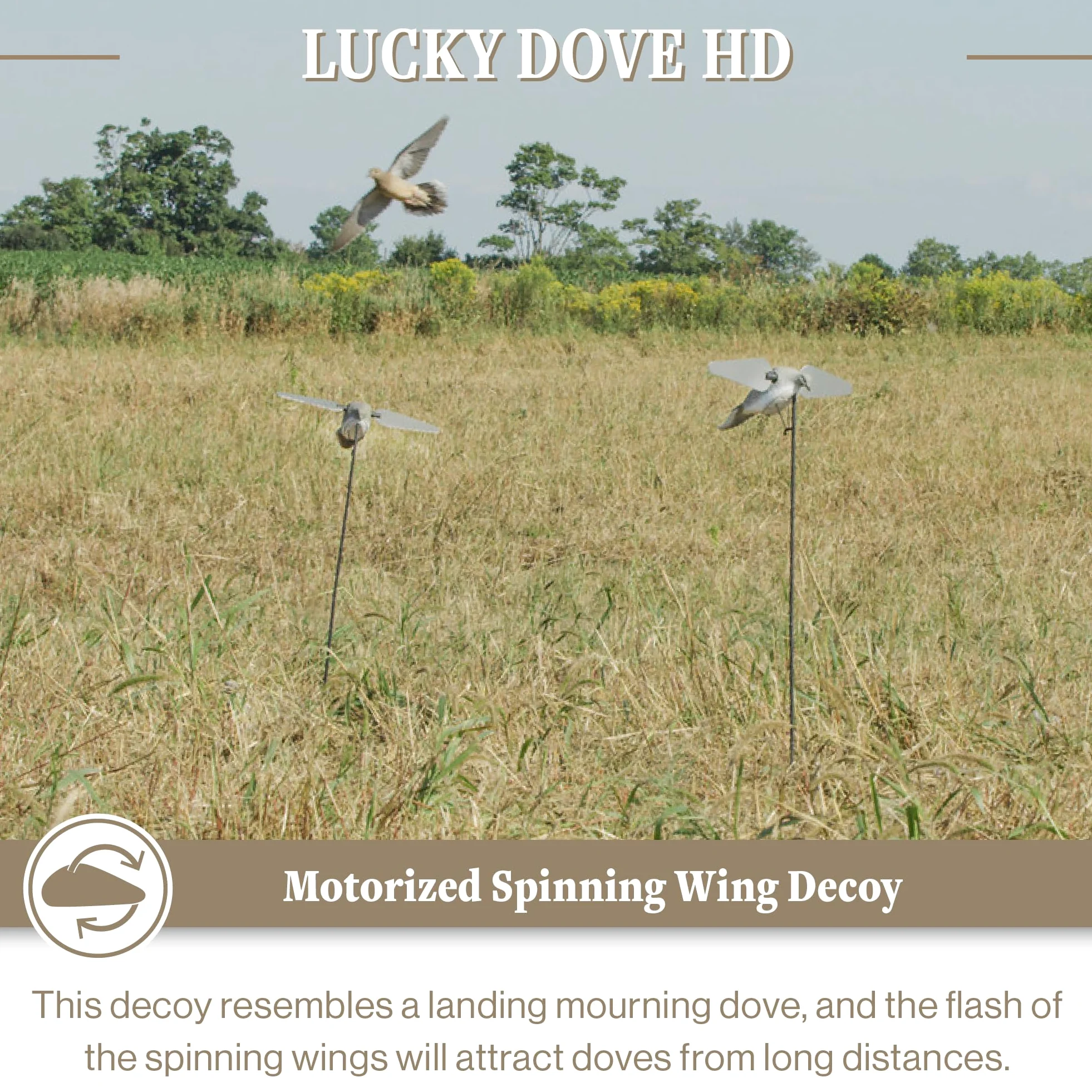 Lucky Duck - Señuelos de caza de paloma HD, Lucky HD Dove Decoy