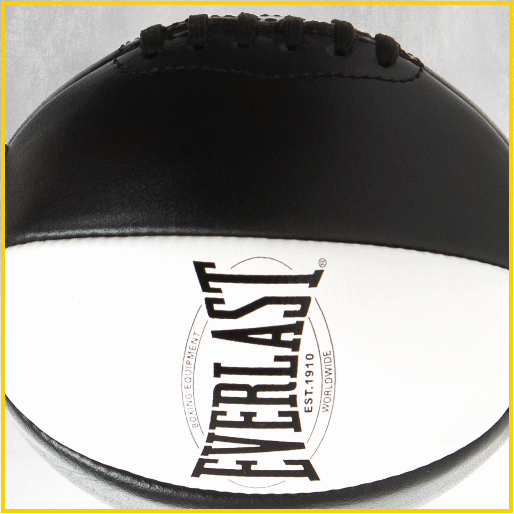 Everlast 1910 Double End Speed Bag Punching