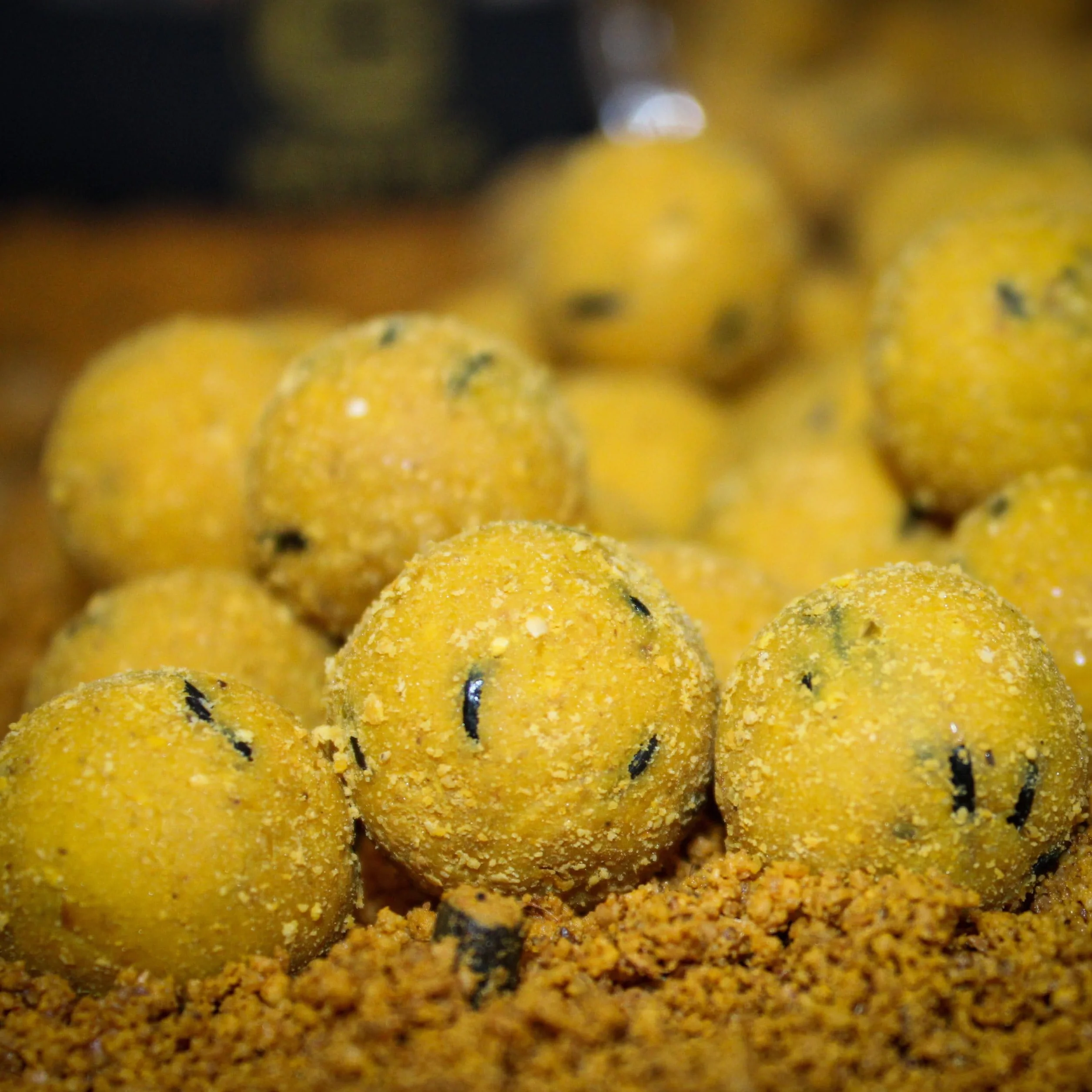 Pro Elite Baits Session Pack Gold | Carp Food | Pack Cebo para Pesca de Peces Grandes |