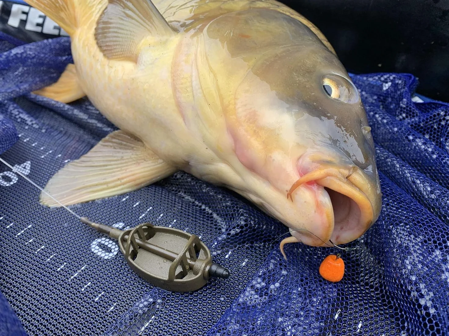 Haldorado Tornado Wafter Piña+N-Butyric 12mm, hookbait carpfishing, cebo flumino, cebo 100% bidegradable