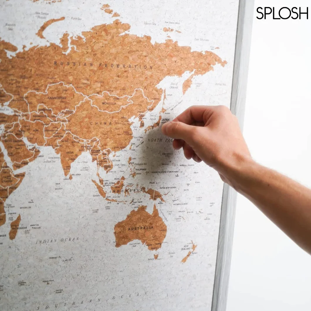 Splosh Tablero de Chinchetas de Viaje Pequeño Europa Marco de Madera Gris 100 Chinchetas
