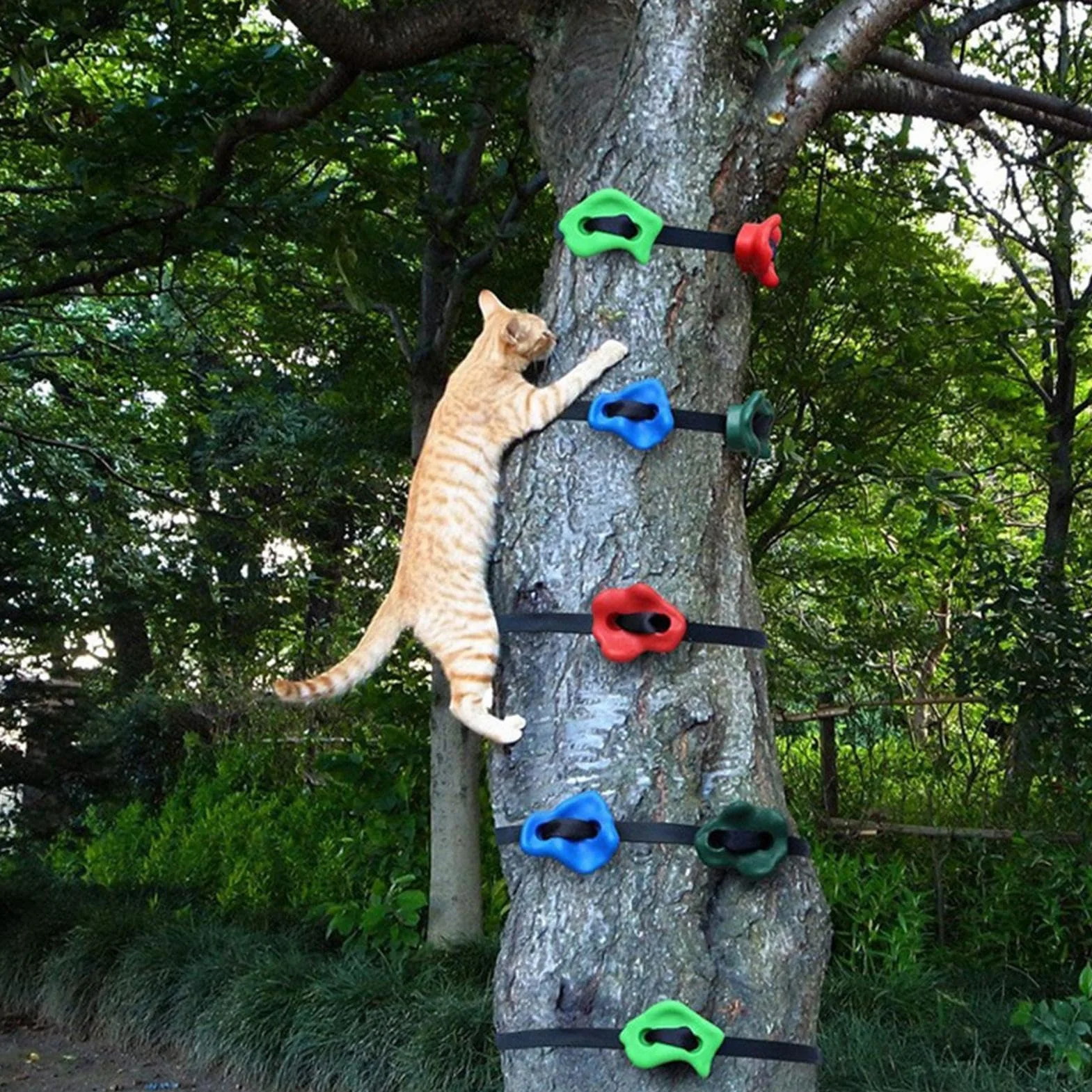 Genérico Equipos De Escalada En Árboles - Ajustables y Resistentes,Equipo de Entrenamiento para Circuito de Obstáculos,para al Aire Libre Patio Jardín Césped Muro Gimnasio Niños Niñas Familia