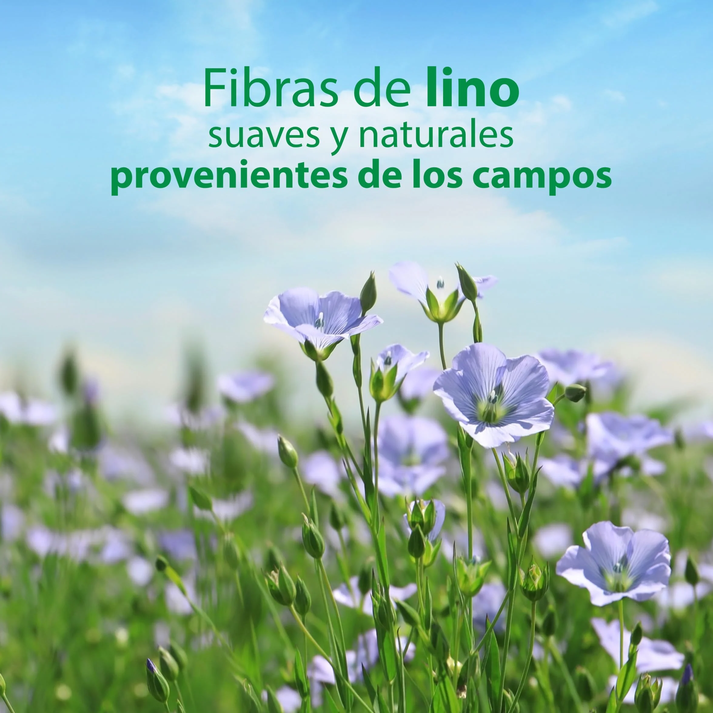 Colhogar Aloe 8x80 Papel Higiénico Húmedo Desechable con Extracto de Aloe Vera Sin Alcohol 640 Toallitas