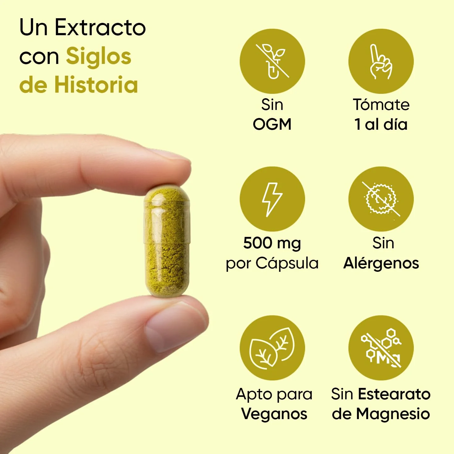 Berberina 500mg 120 Cápsulas 85% Alcaloides Suplemento Vegano Sin Gluten