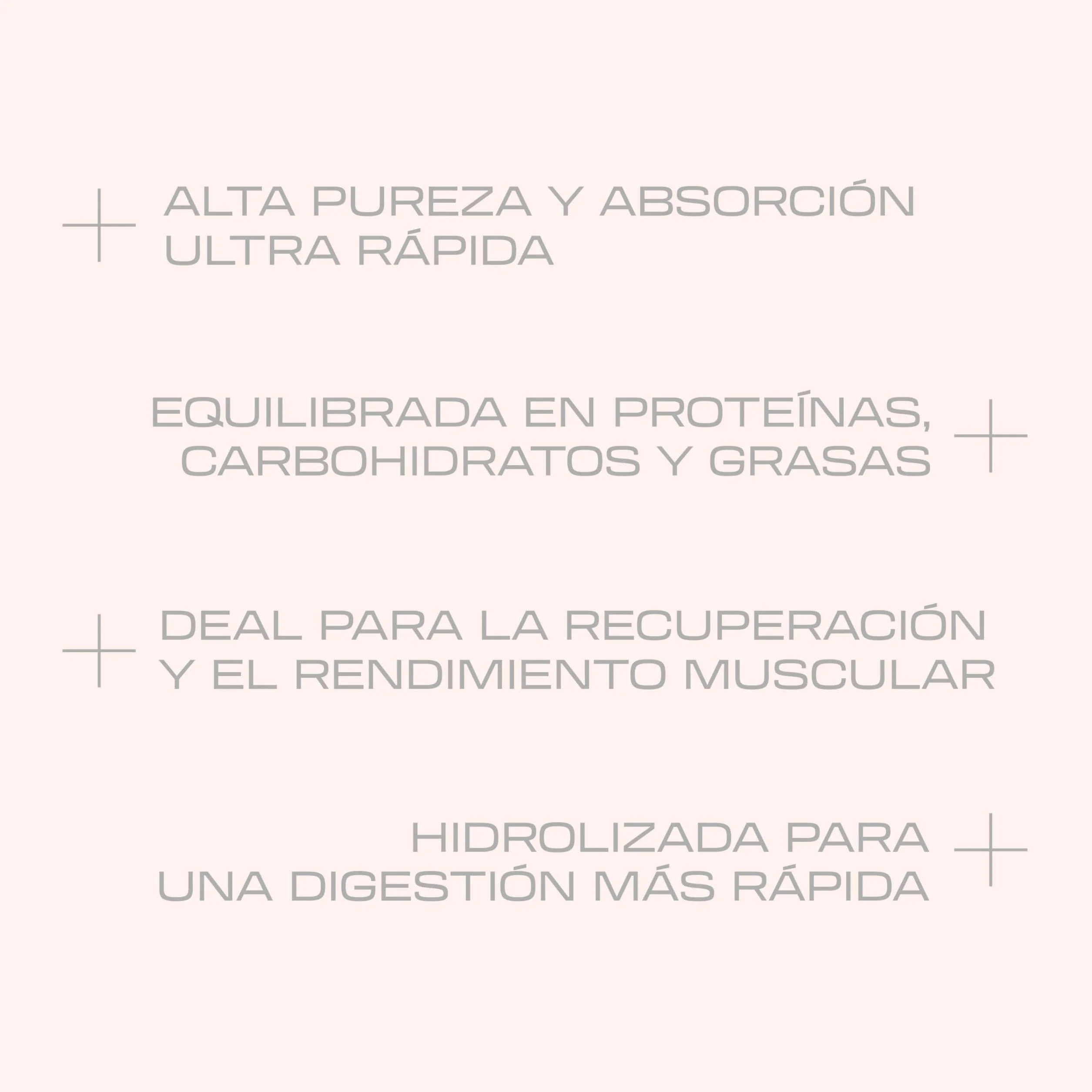 Beverly HYDRO PROTEIN Proteína Hidrolizada de Suero 1 kg 29 g Proteína por Ración DigeZyme Tolerase Alta Digestibilidad Chocolate avellana