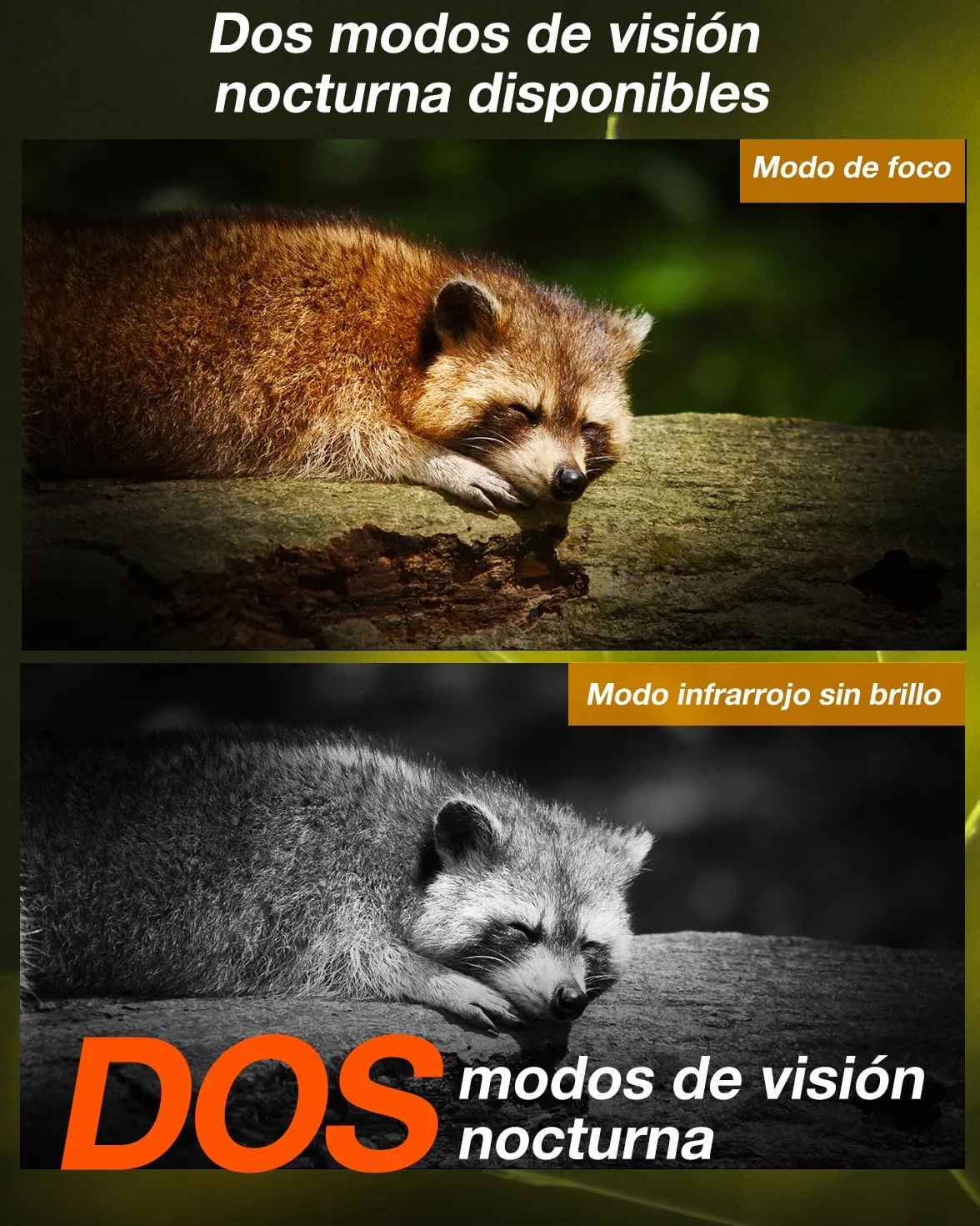iZEEKER 4G LTE Cámara de Caza Solar, Cámara de Fototrampeo 2K PTZ con Tarjeta SD & SIM Vista Completa de 360° Transmisión en Vivo IR Sin Brillo Visión Nocturna Detección de Movimiento IP65 Impermeable