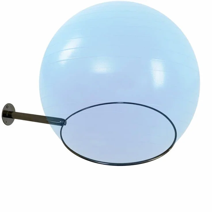 AUXPhome Exercise Ball Accessories