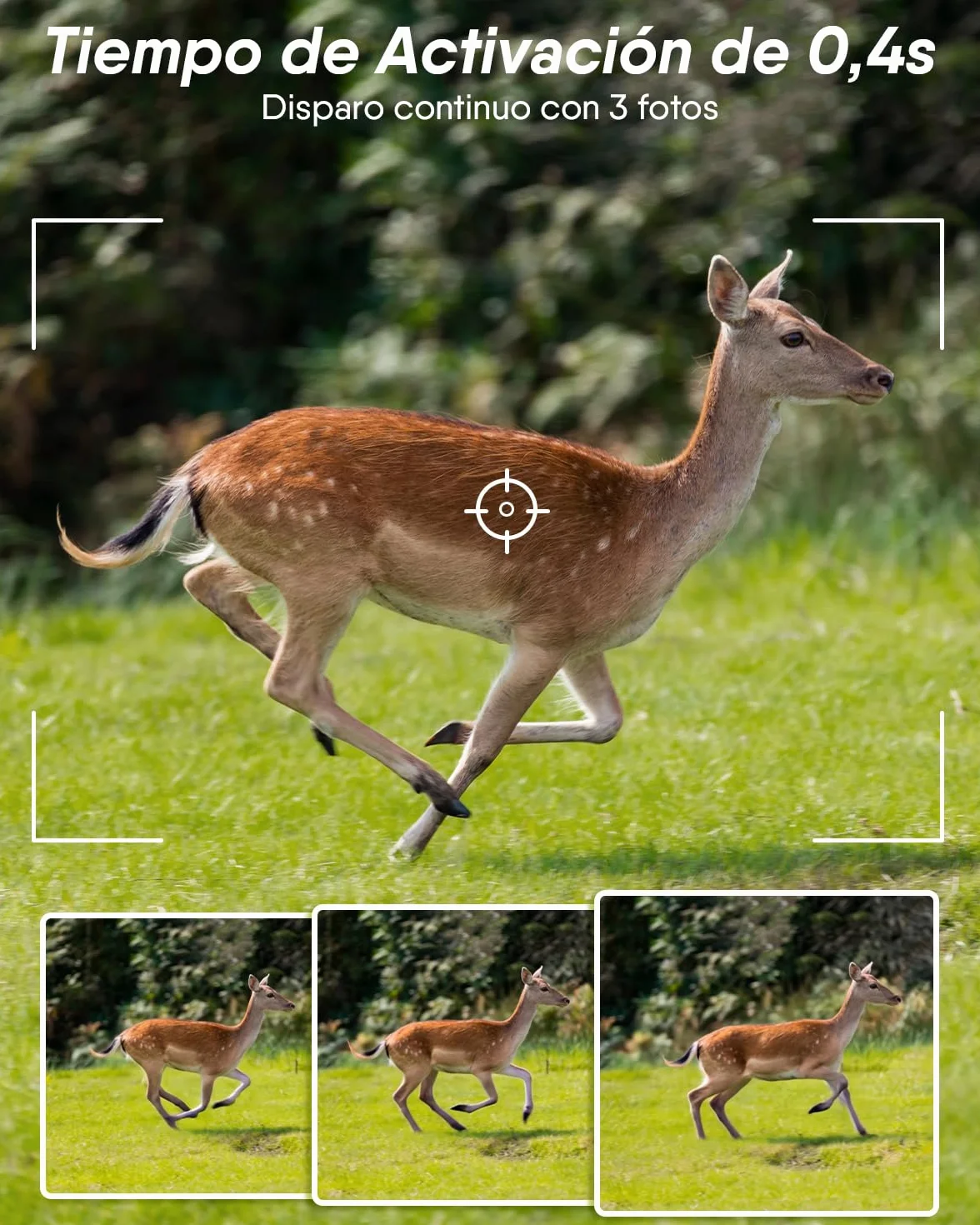 Cámara de Caza 4G Rollei, 4K Camara Fototrampeo con Tarjeta Sim y App y Sensor de Movimiento Cámara de Fotos Trampeo Caza Infrarroja con Visión Nocturna Tarjeta SD de 32GB IP66,Cámara-Caza-Fototrampeo