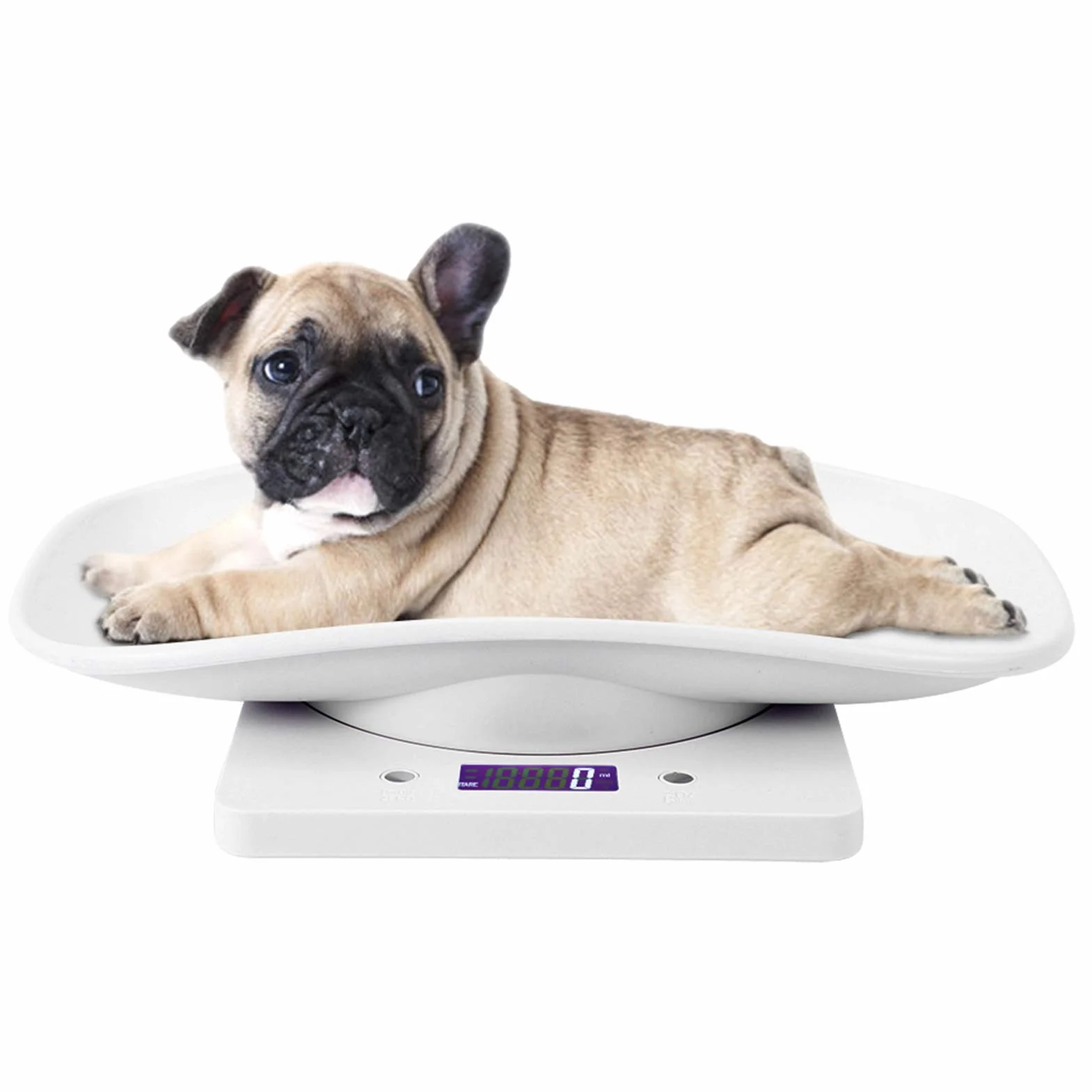 Balanza Electrónica para Mascotas Alta Precisión Perros Gatos Bebés Cocina Medición g ml oz lb