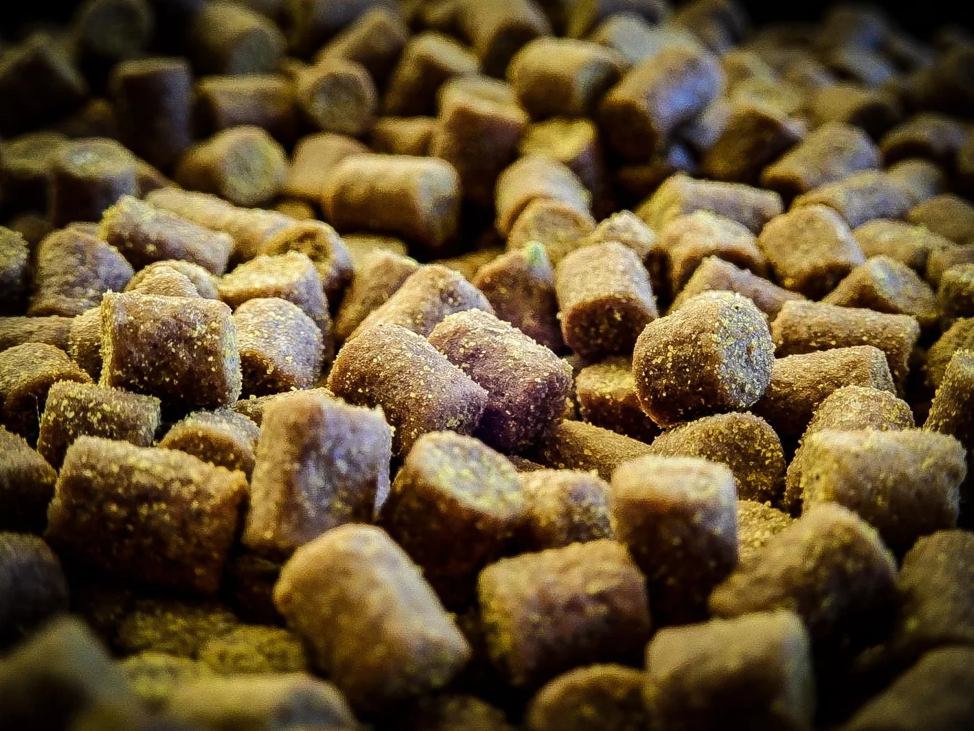 Pro Elite Baits Session Pack Gold | Carp Food | Pack Cebo para Pesca de Peces Grandes |