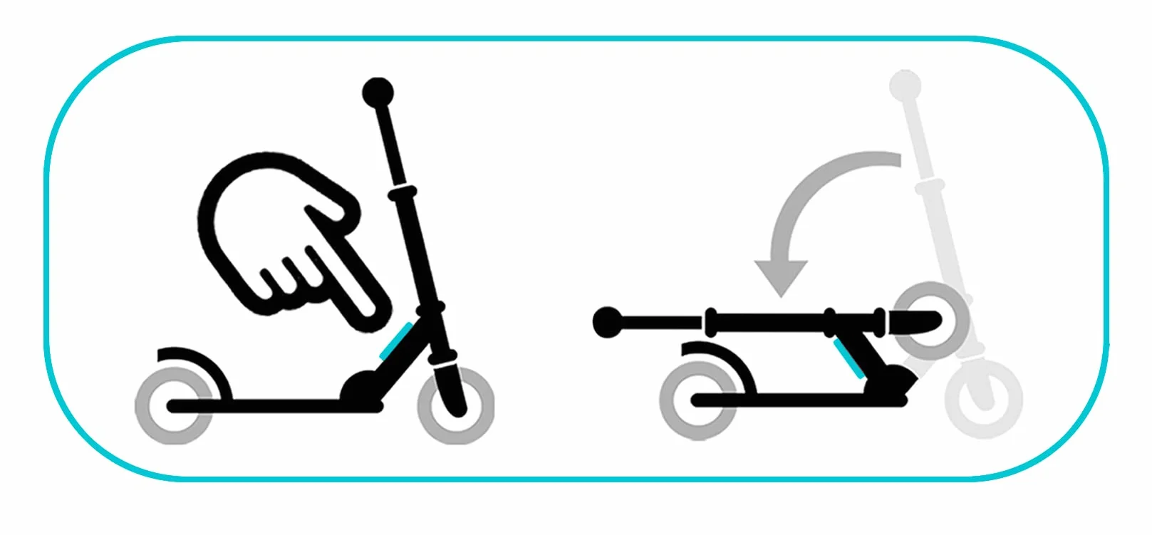 Foldable Double suspensions Adjustable Scooter 145 mm SKIDS Control Carbone