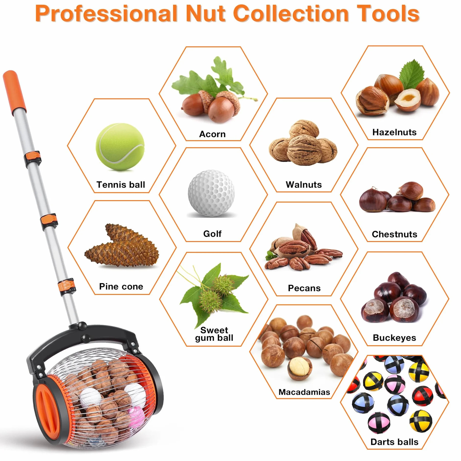 Colector de nueces con mango telescópico 0,75-1,7 pulgadas para bellotas, castañas, nueces y golf