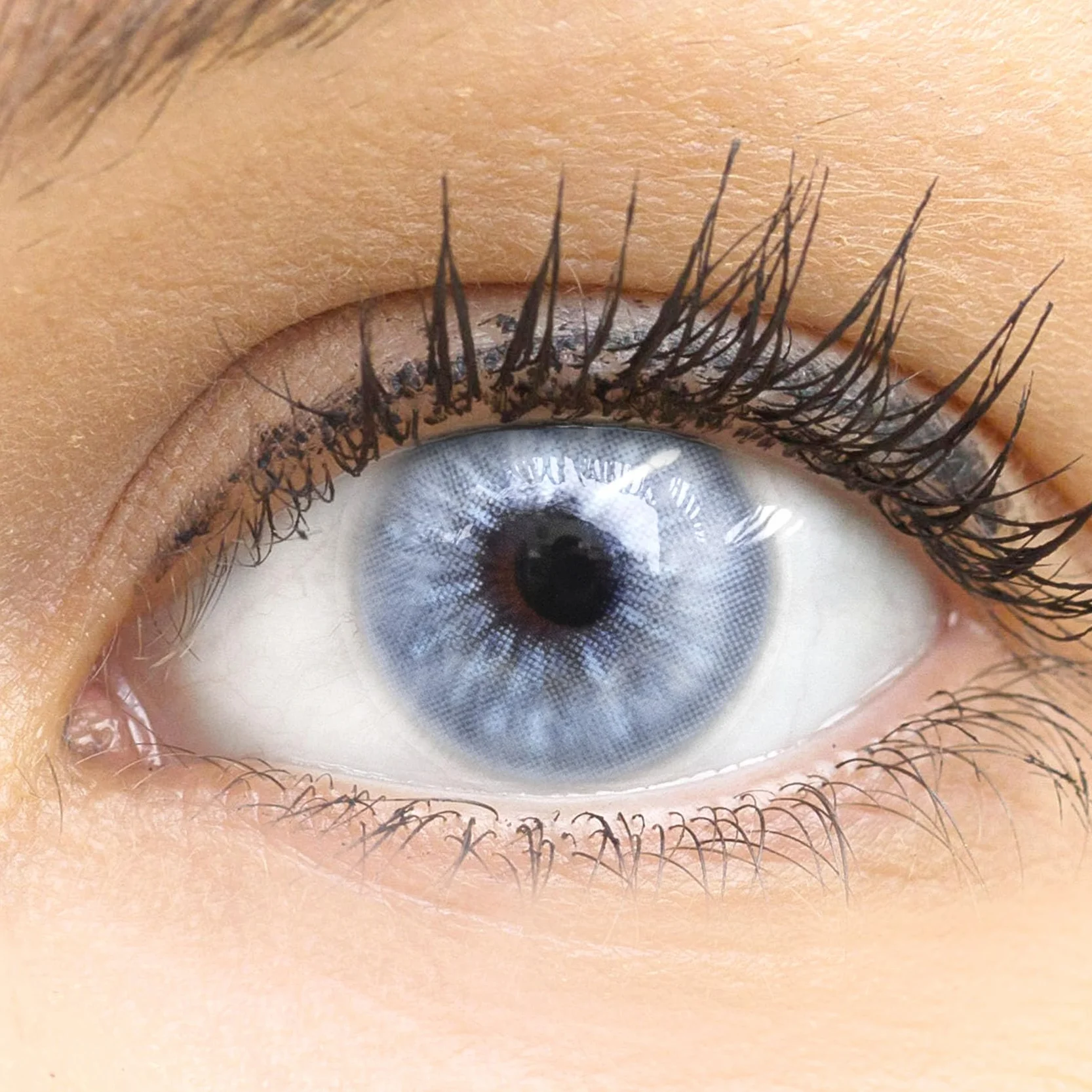 GLAMLENS lentillas de color gris Almeria 1 par 90 Días Sin Graduación hidrogel de silicona