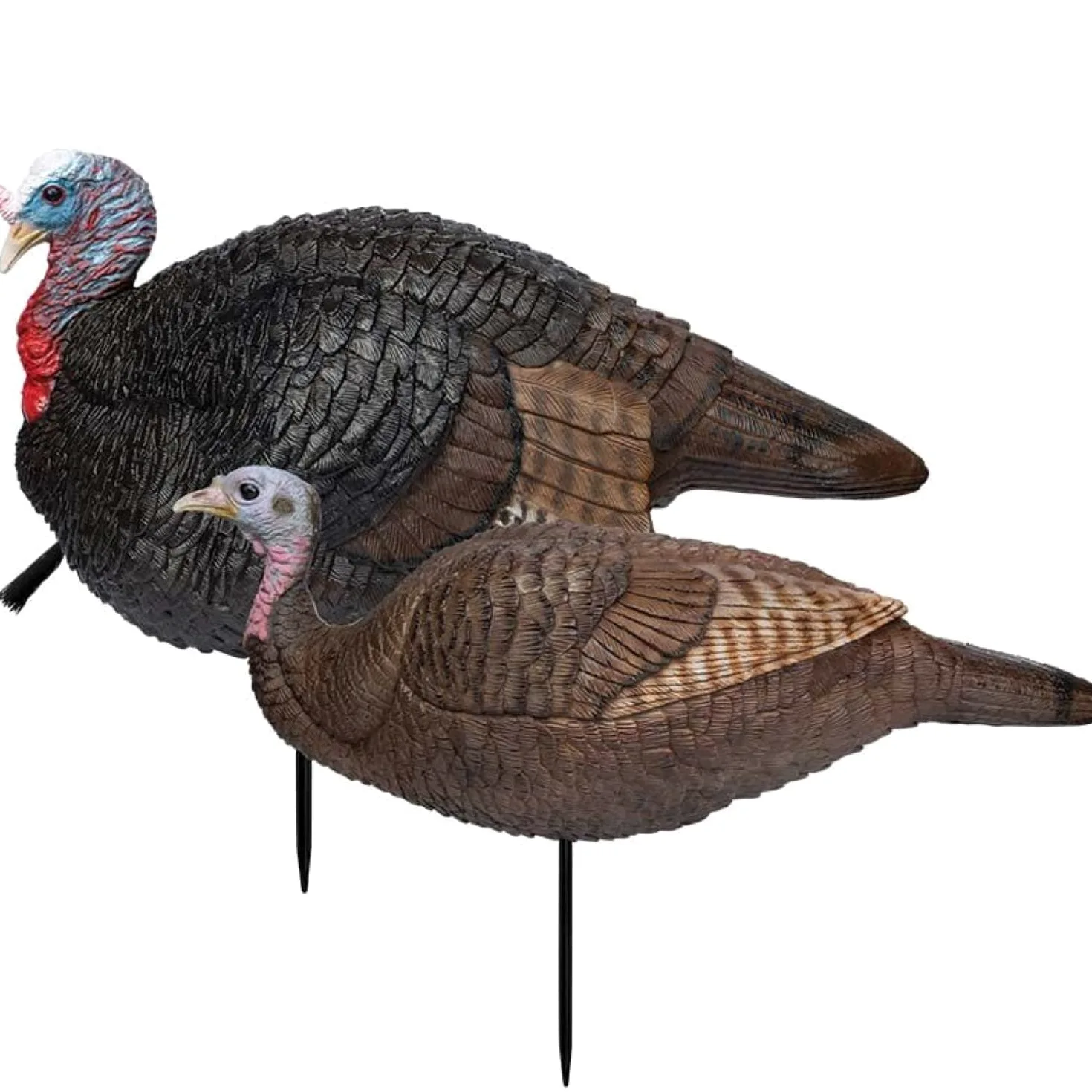 Primos Hunting Lil Gobstopper 69075 - Señuelo de Caza Plegable para gallina y Jake