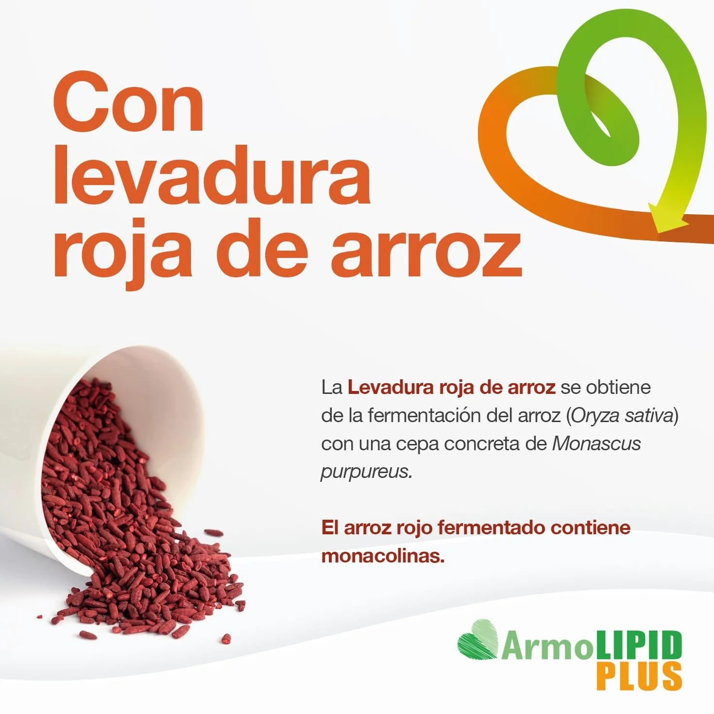 ArmoLIPID PLUS Complemento Alimenticio Control Colesterol Triglicéridos 60 Comprimidos