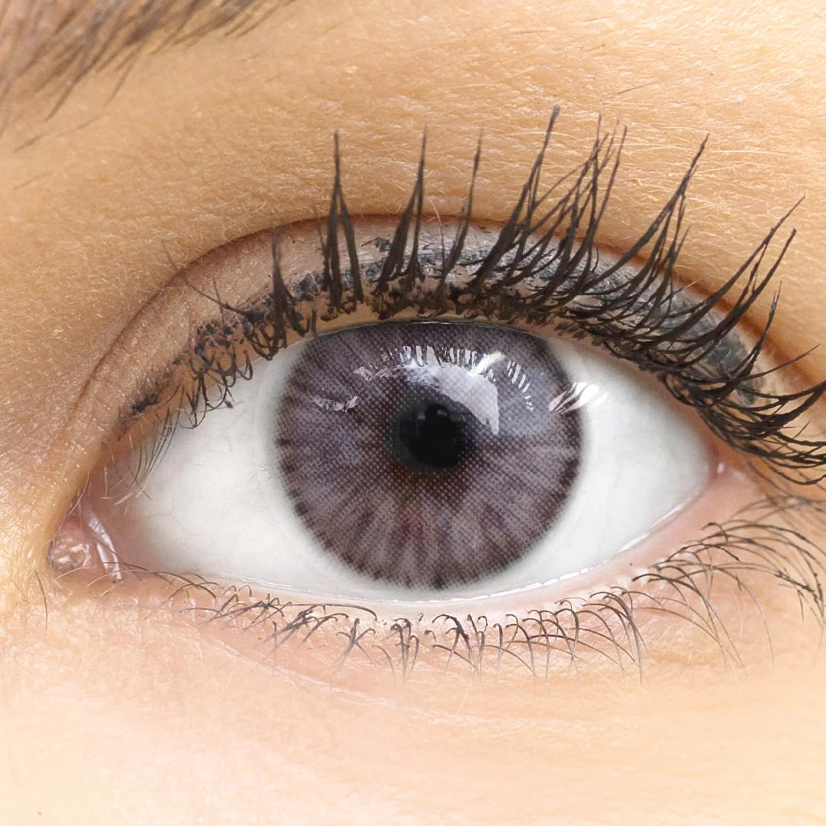 GLAMLENS lentillas de color gris Palma Gray 1 par 90 Días Sin Graduación hidrogel de silicona