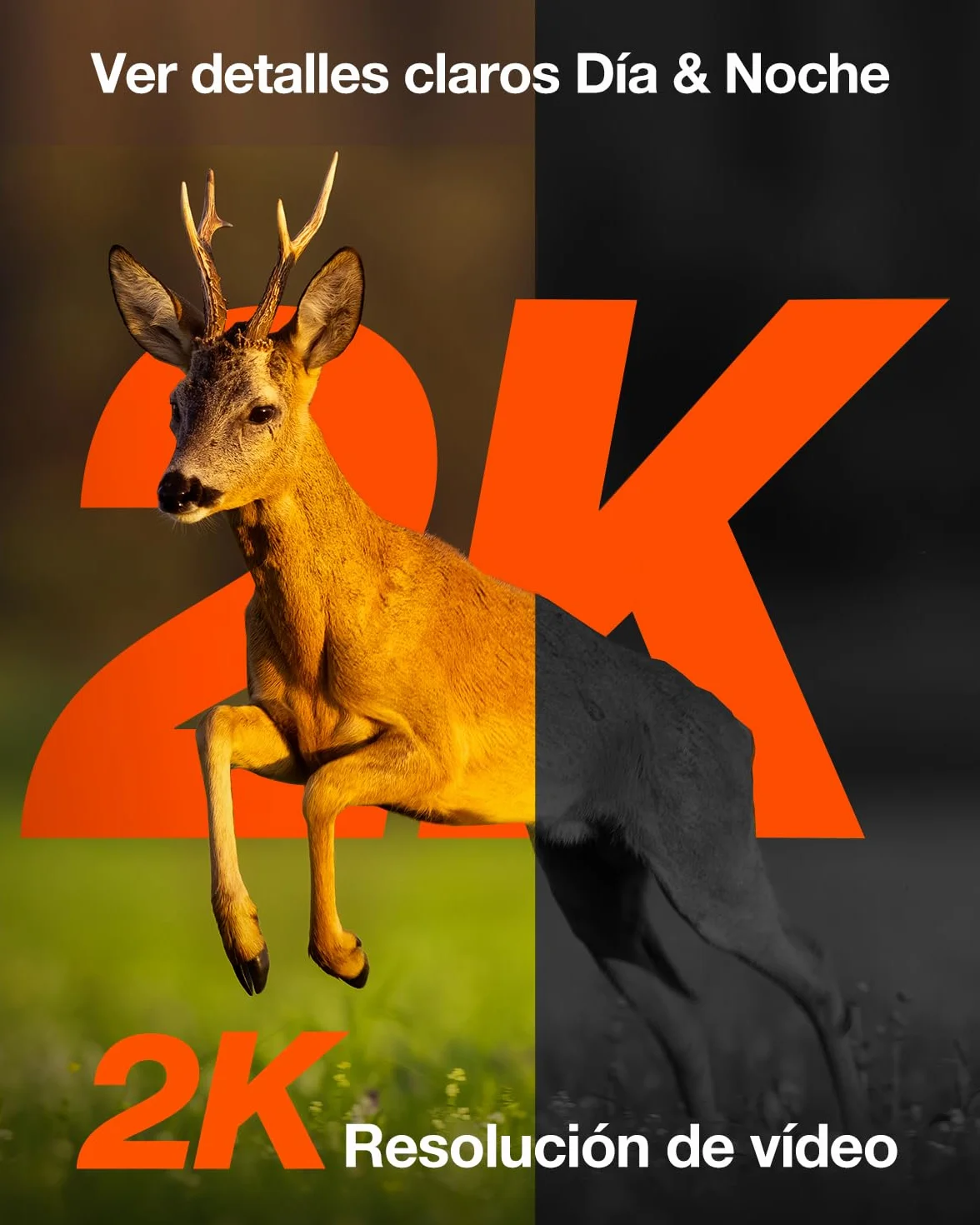 iZEEKER 4G LTE Cámara de Caza Solar, Cámara de Fototrampeo 2K PTZ con Tarjeta SD & SIM Vista Completa de 360° Transmisión en Vivo IR Sin Brillo Visión Nocturna Detección de Movimiento IP65 Impermeable