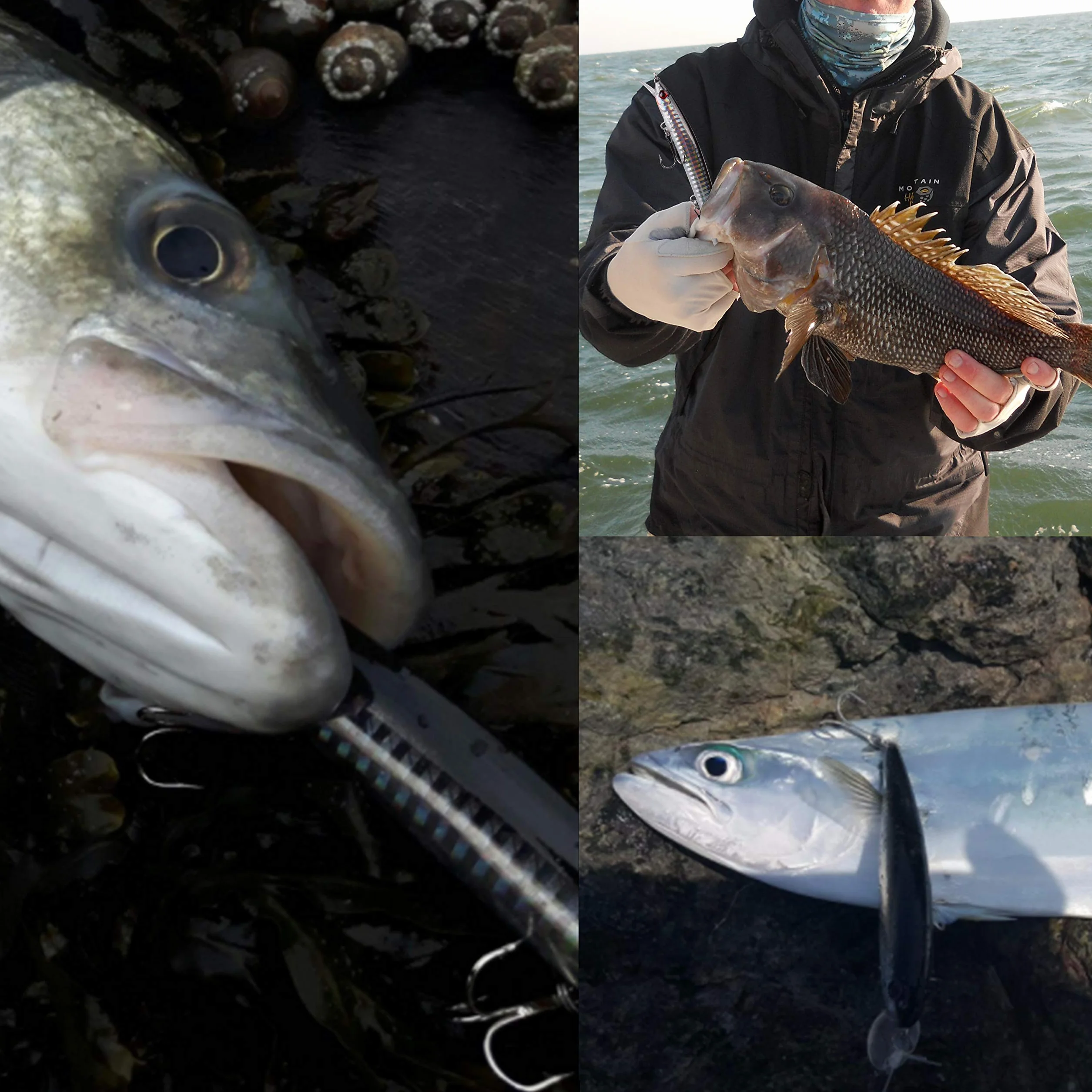 Kit de Señuelos de Pesca Juego de Señuelos de Pesca Popper de 6 Piezas Cebos Flotantes para Surf Crankbaits Señuelo Aparejos de Pesca