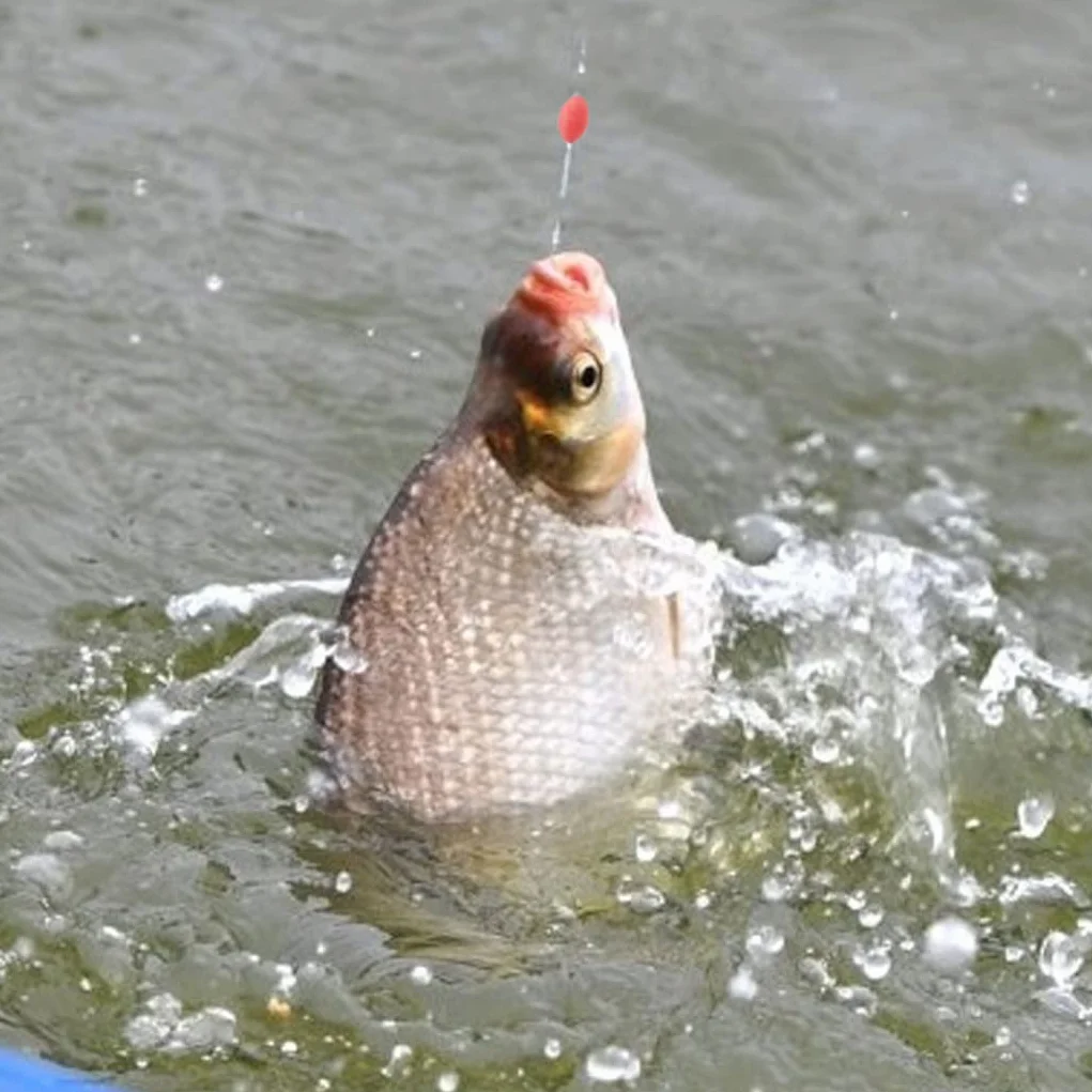 Jorzer Tope de Goma de Flotador Táquero de Pesca Silicona Pesca de Goma Bobber Tope de Frijoles Flotador Accesorios de la línea de Pescado para 2.5# -5.0# Línea 300pcs