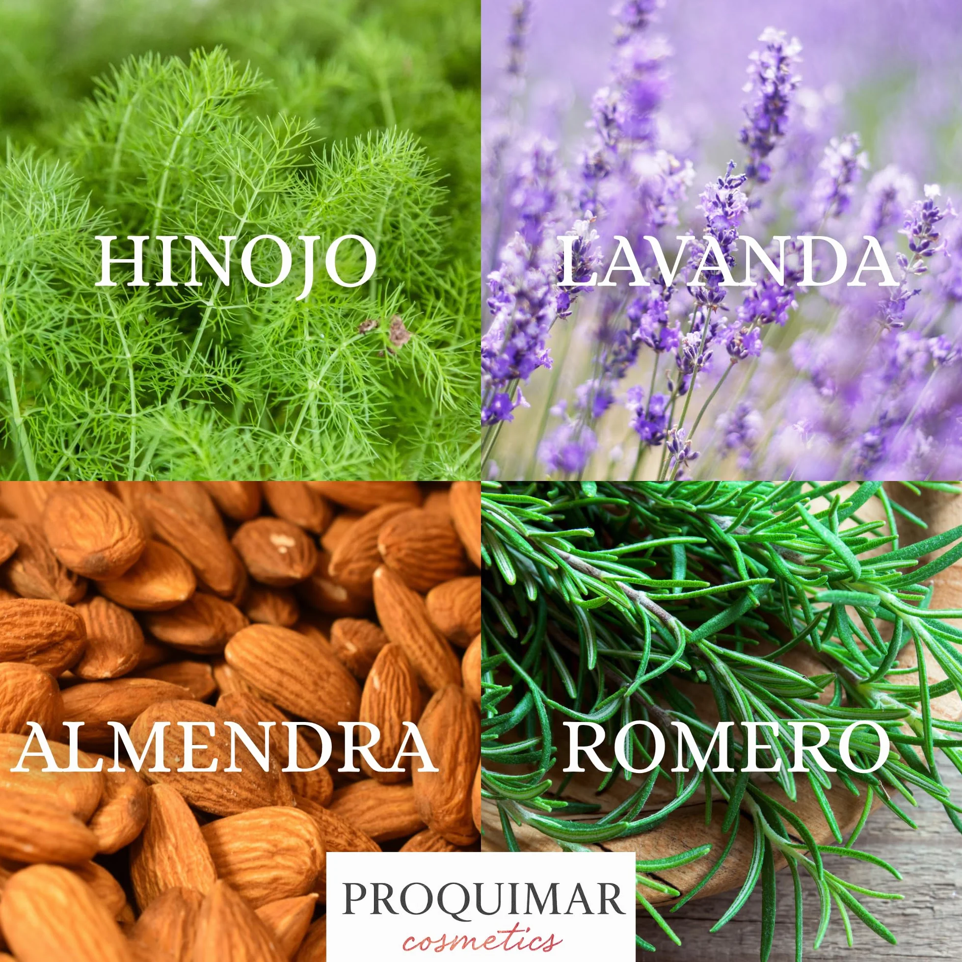 Aceite de Masaje con Romero, Almendra, Lavanda e Hinojo 5 Litros