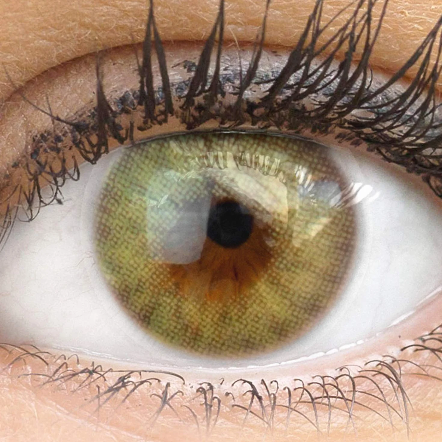 GLAMLENS Bozen Green lentillas de color verdes 1 par 90 Días Sin Graduación hidrogel de silicona