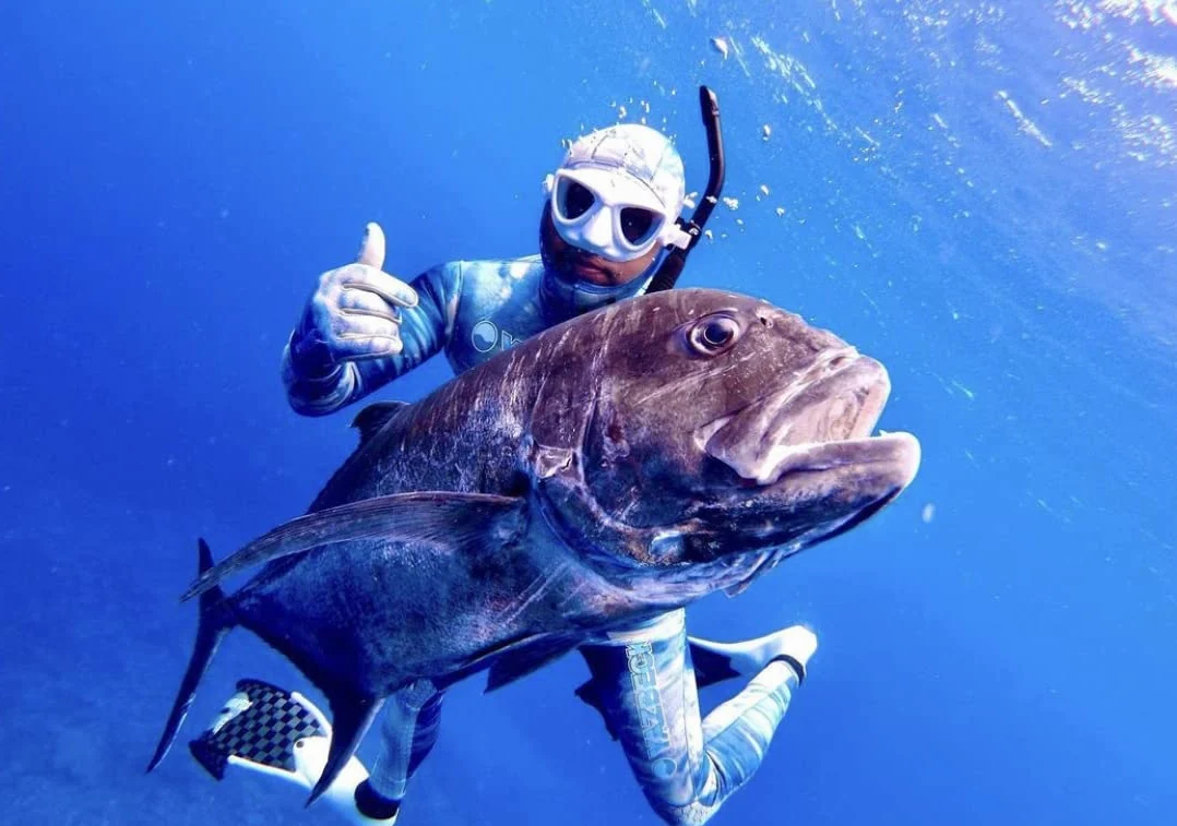 C4 Máscara Plasma XL para Apnea y Pesca Subacuática (Blanco)