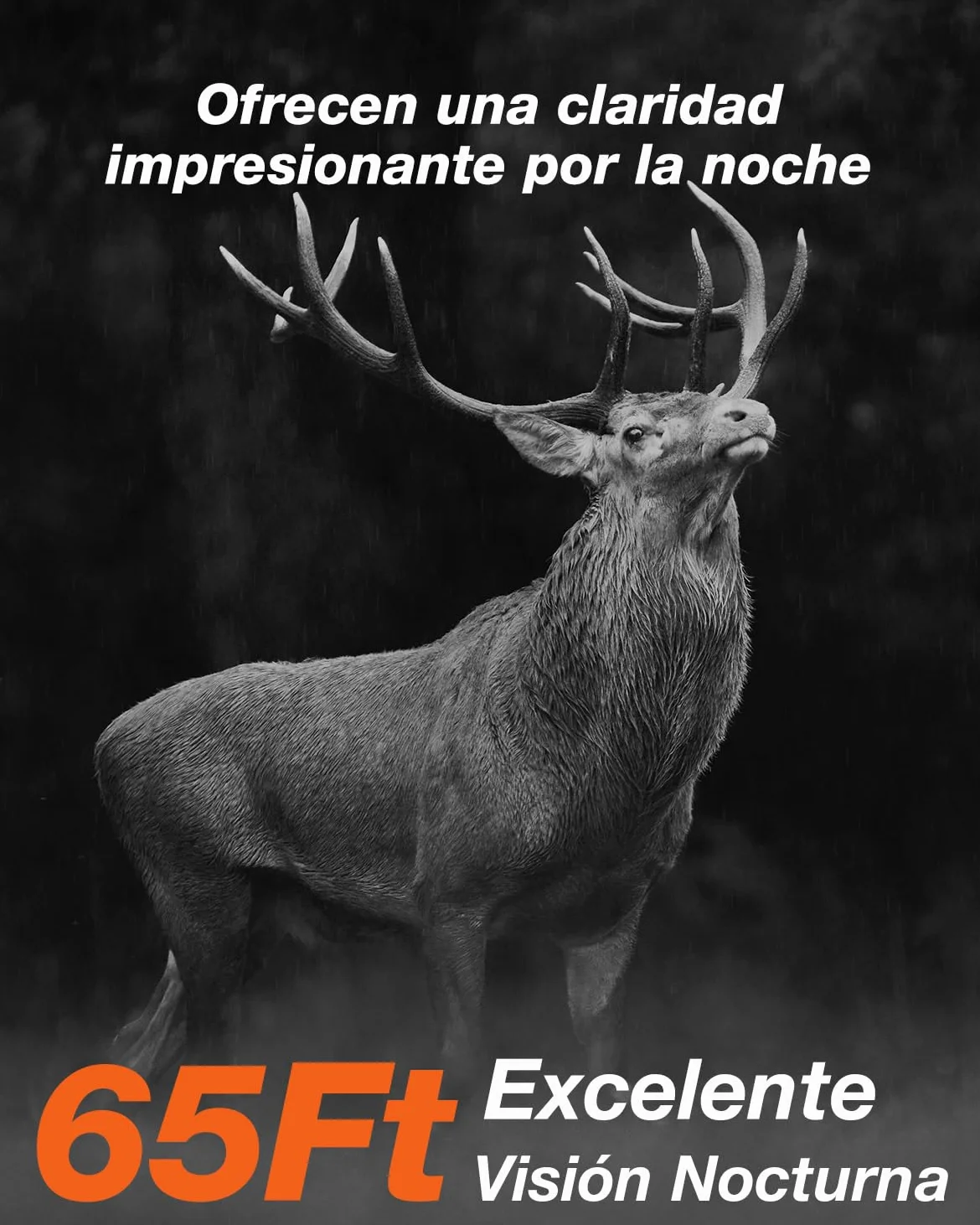 iZEEKER Cámara de Caza Solar, 4K Ultra HD 64MP Camara Fototrampeo con 32GB Micro SD Karte & 5200mAh Batería Recargable, Envio al Movil App y WiFi Bluetooth, Visión Nocturna, IP66 Impermeable