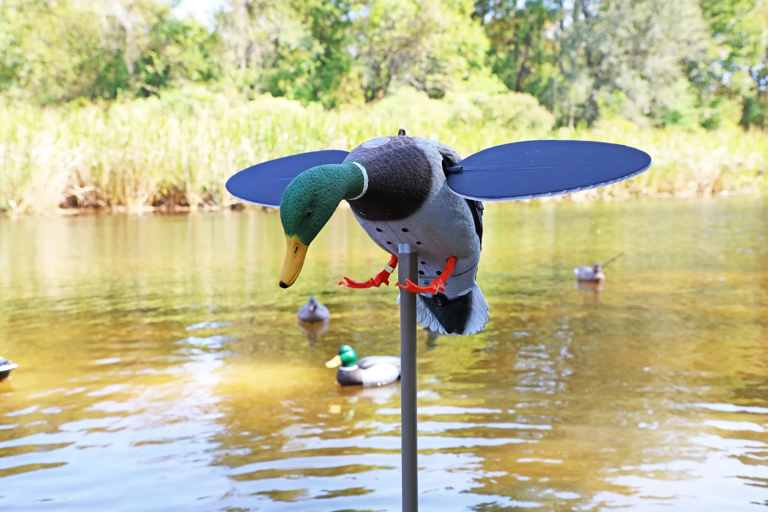 MOJO Outdoors Hw2025 Señuelo Plateado de Mallard, Unisex, Plata