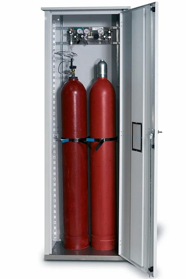 Armario para bombonas de gas a presión, para montaje Auáá, 2 ranuras para botellas F, 700 x 400 x 2150 mm, galvanizado + B