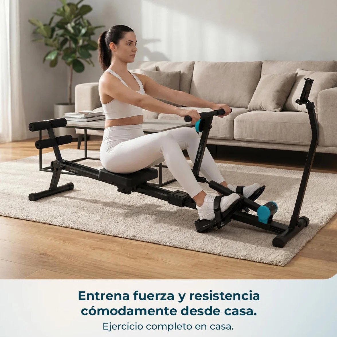 Cecotec Máquina de Remo Hidráulica Drumfit Rower CompactROW. 12 Niveles de Resistencia, Peso hasta 110kg, Fortalece Brazos, Espalda y Mejora la Resistencia Cardiovascular