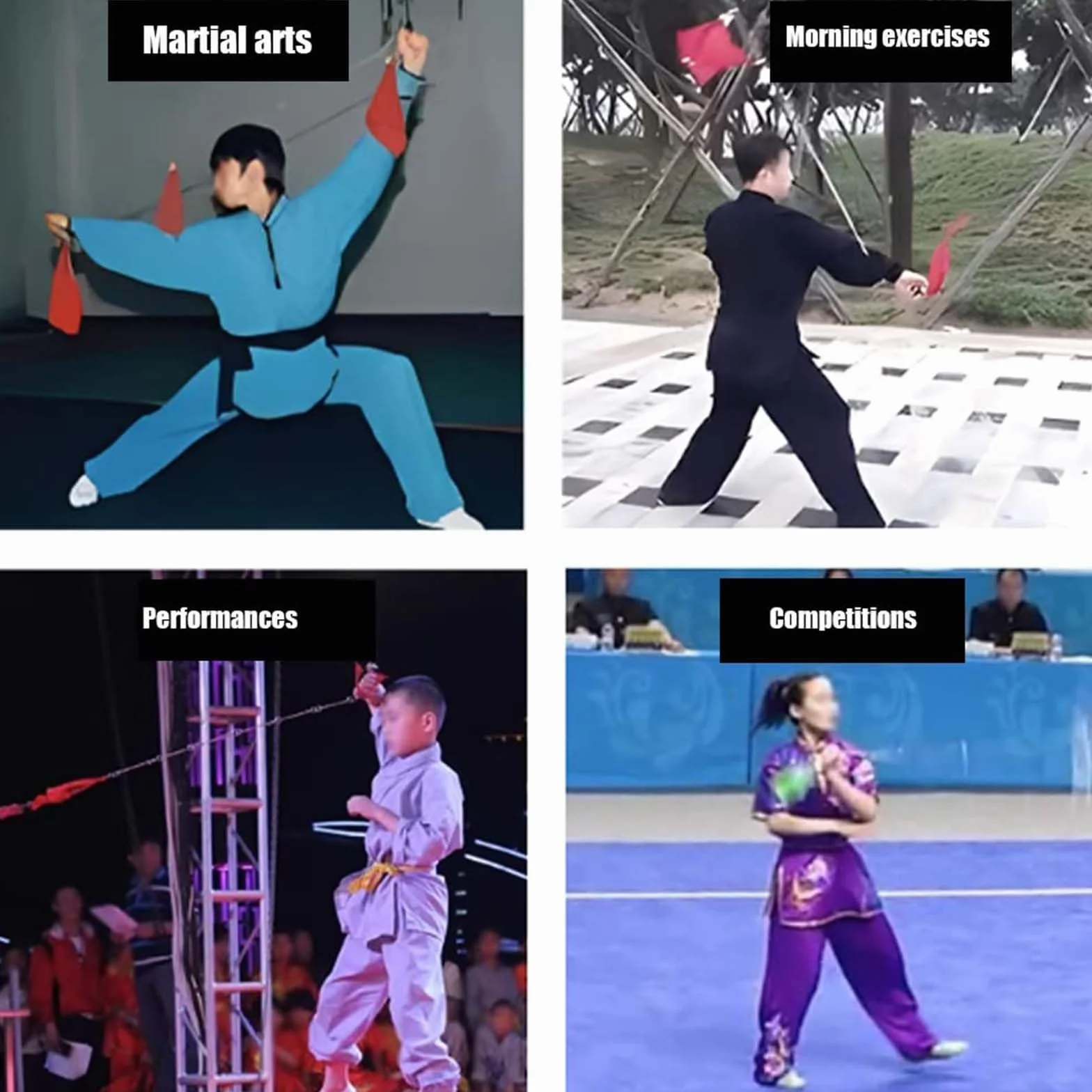 Látigo de Nueve Secciones, látigo de Combate de Forma Octogonal de Acero Inoxidable de Defensa Personal, Artes Marciales Chinas de Kung fu
