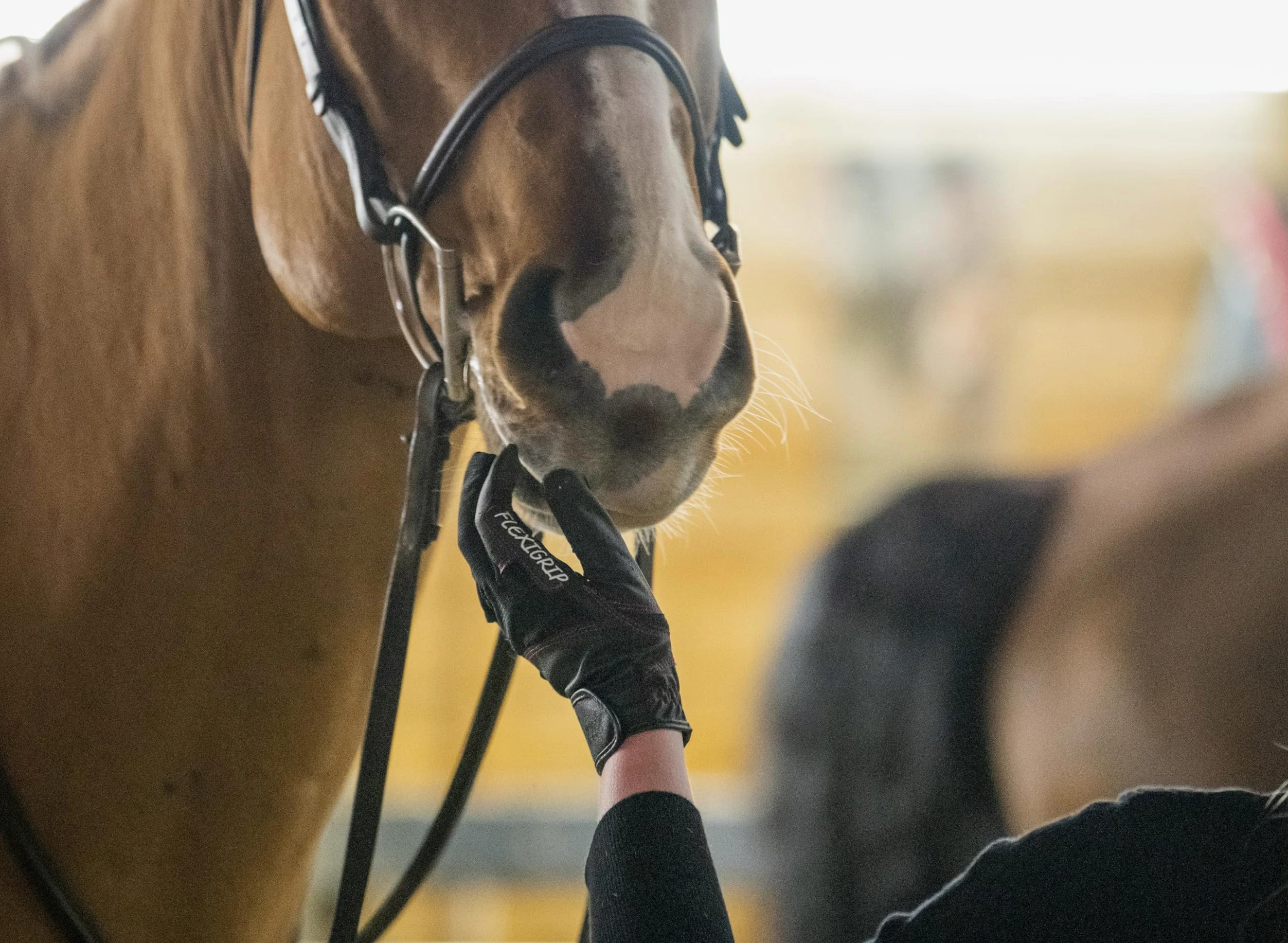 FARRIS Flexgrip - Guantes de equitación para mujeres y hombres, guantes ecuestres acolchados con malla transpirable y pulgares y dedos reforzados