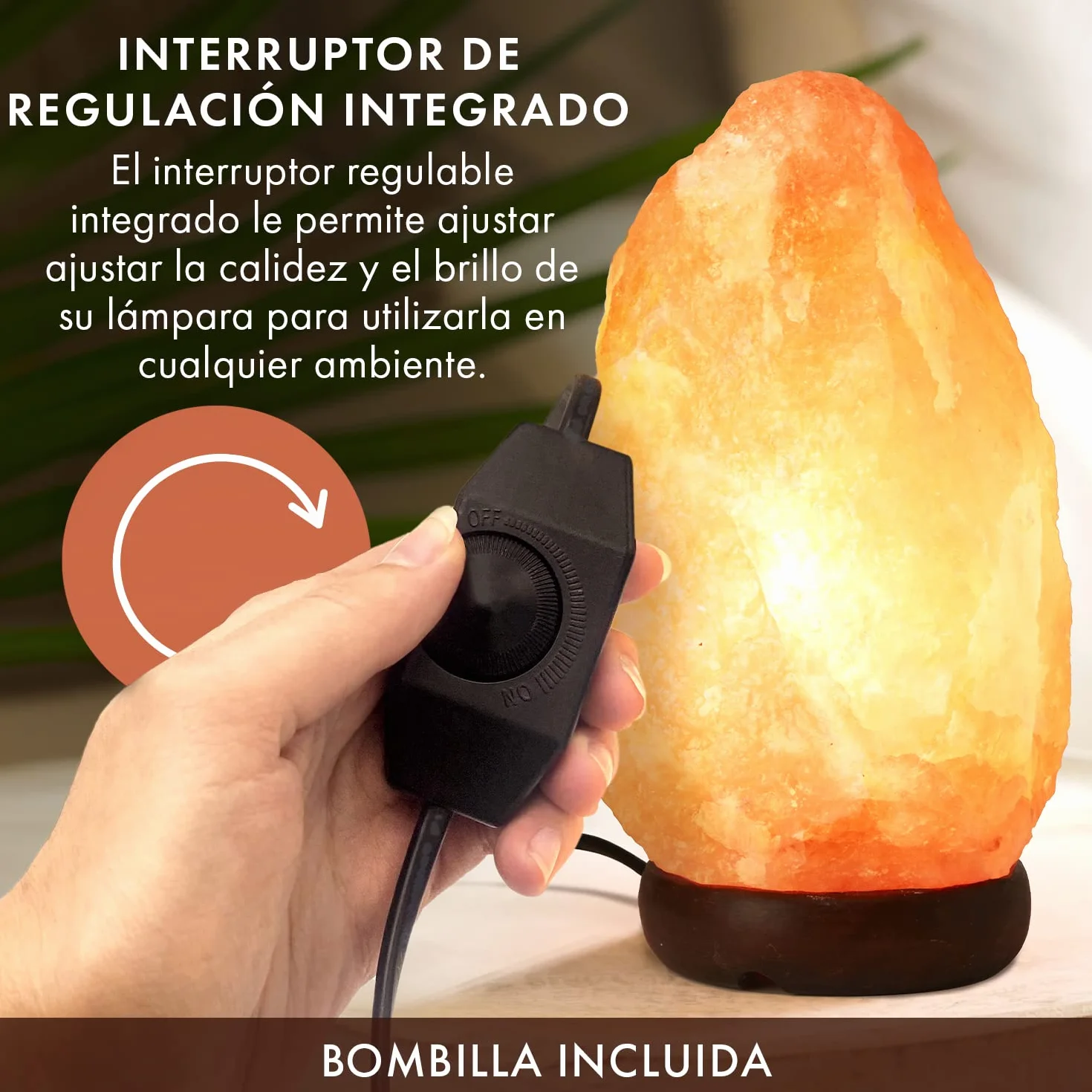 The Body Source Lámpara de Sal del Himalaya 2-3 KG con Regulador de Intensidad Base de Madera