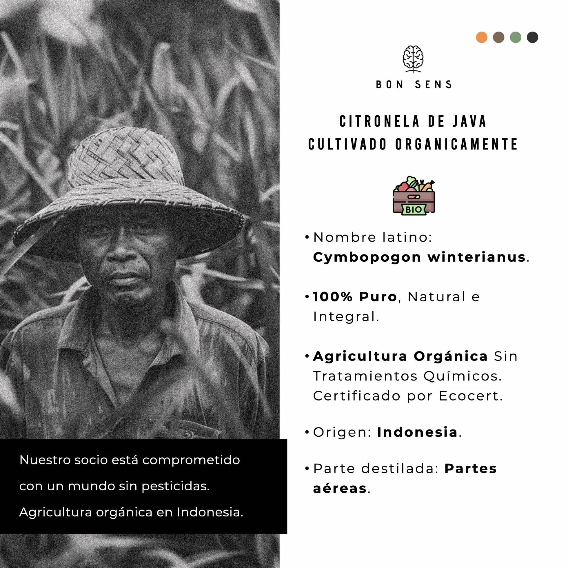 Aceite esencial de Citronela BIO 50ml - 100% Puro y Orgánico - Repelente Natural Antimosquitos