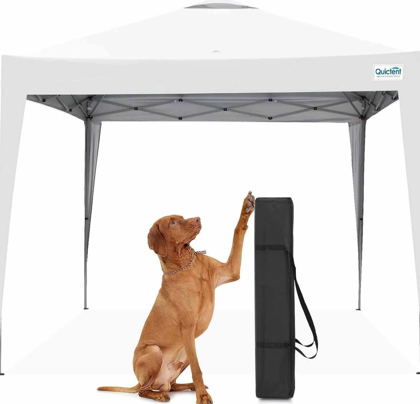 Quictent Toldo Plegable Automático Portátil 3x3m Blanco para Camping Fiestas