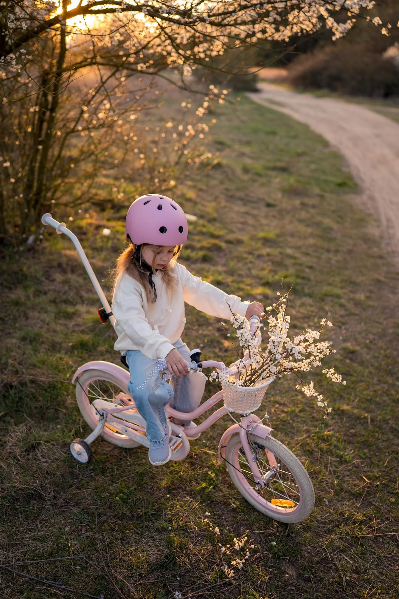 sun baby Heart Bike Bicicleta Infantil para niña 12/14/16 Pulgadas, con ruedines, Barra de Empuje, Cesta, Timbre, Freno contrapedal y V-Brake