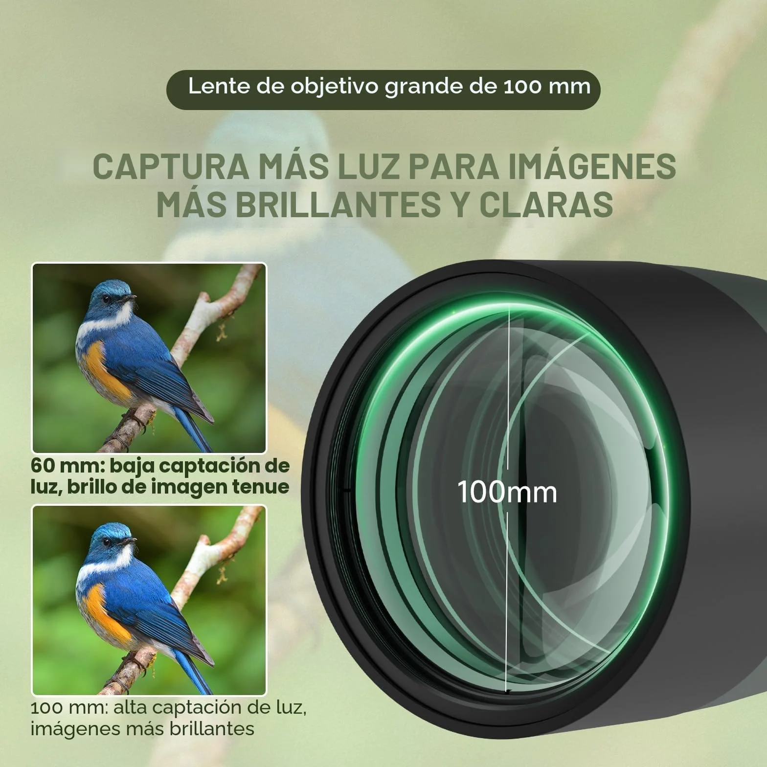 Svbony SV28 25-75x100mm Telescopio Terrestre con Trípode, Gran Campo de Visión Imágenes Claras y Brillantes, HD Bak4 FMC Telescopio Terrestre con Adaptador, para Tiro al Blanco, Observación de Aves