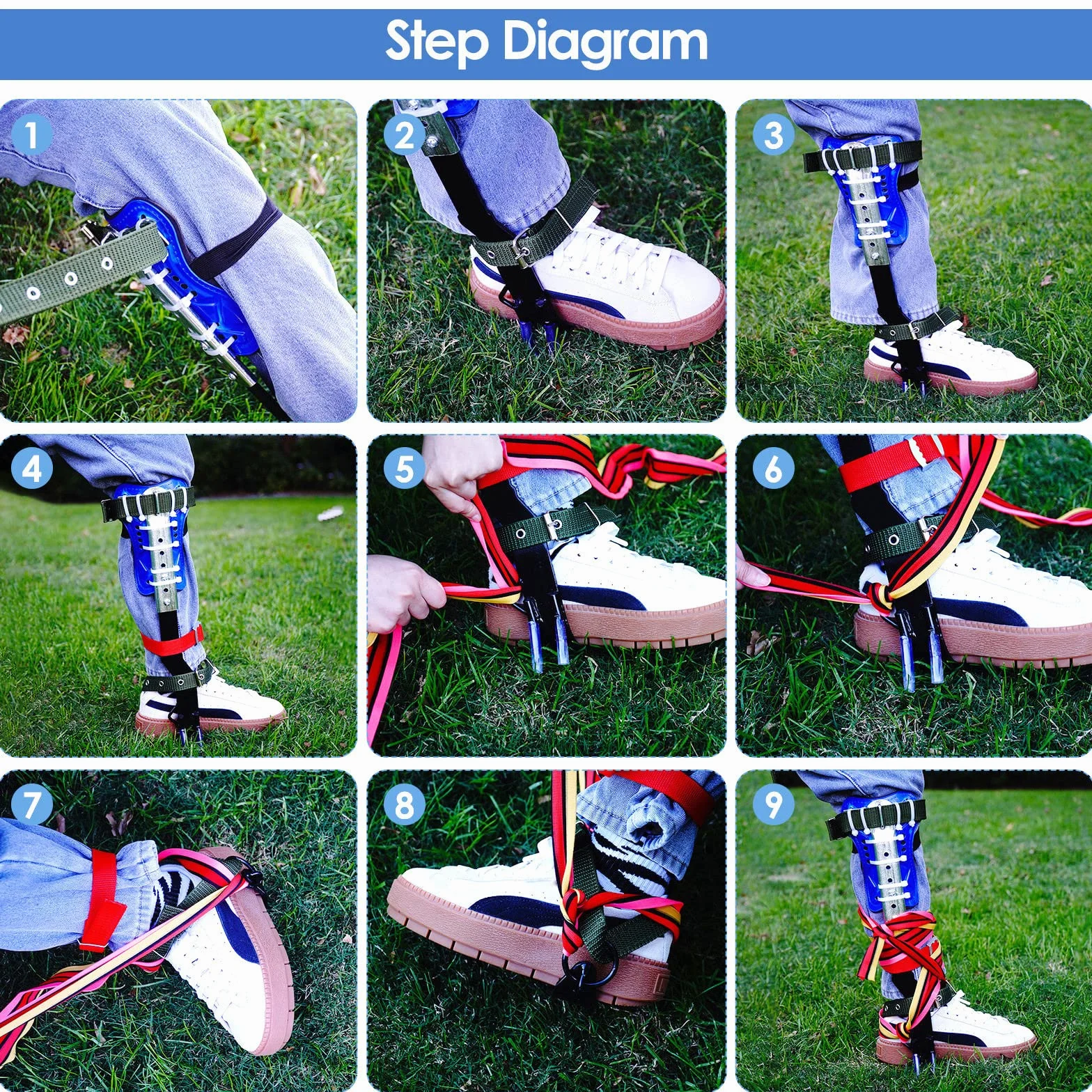 Crampones de árbol con 2 Engranajes y Correas de Seguridad de 5 Puntos, Juego de trepadores de árboles con crampones Altura Ajustable de la Pantorrilla, fácil de Usar para Recoger Frutas