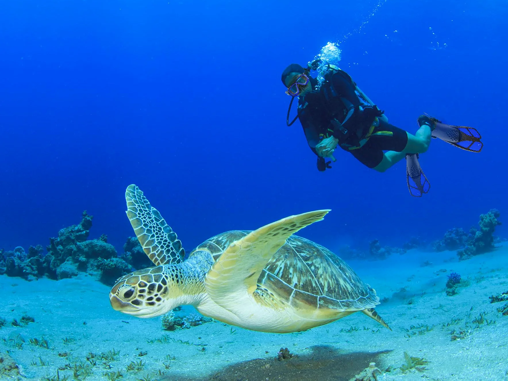 Equipo de esnórquel para adultos con aletas, equipo de buceo profesional para adultos, juegos de esnórquel de viaje con aletas, máscara de buceo antivaho y antifugas