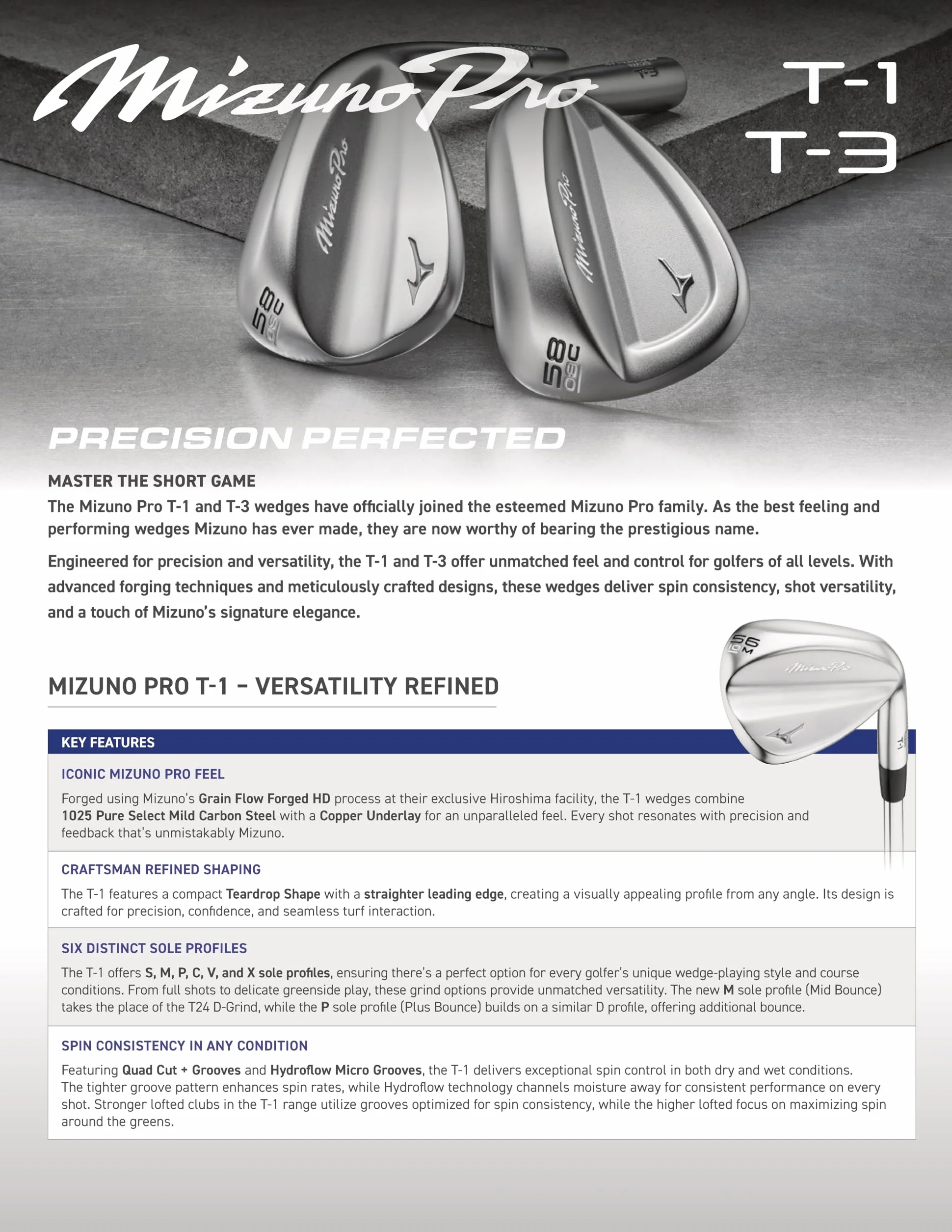 Mizuno Cuñas Pro T1