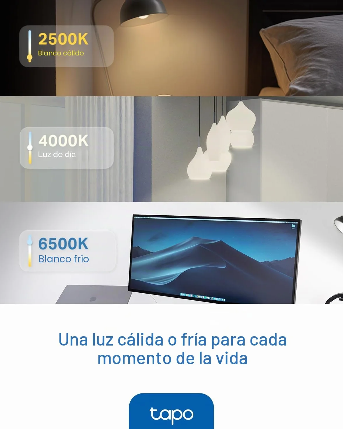 Tapo L430P Bombilla WiFi Smart P45 E14 470 lúmenes regulable compatible con Alexa Google Assistant