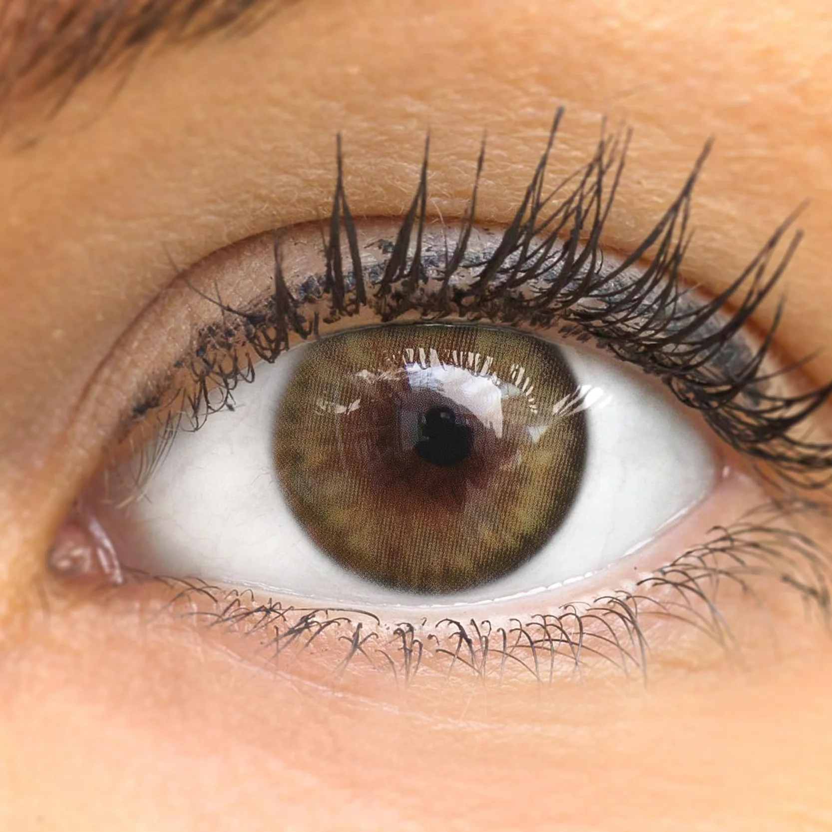 GLAMLENS lentillas de color Avila Green 1 par 2 piezas 90 días sin graduación 0.00 dioptrías blandas hidrogel de silicona