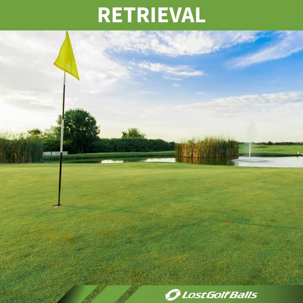 Titleist Pro V1 Renewed Pelotas de Golf Recicladas Paquete de 30